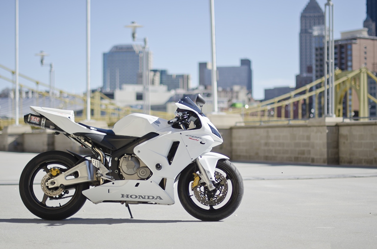 2013 Honda Cbr600rr White , HD Wallpaper & Backgrounds