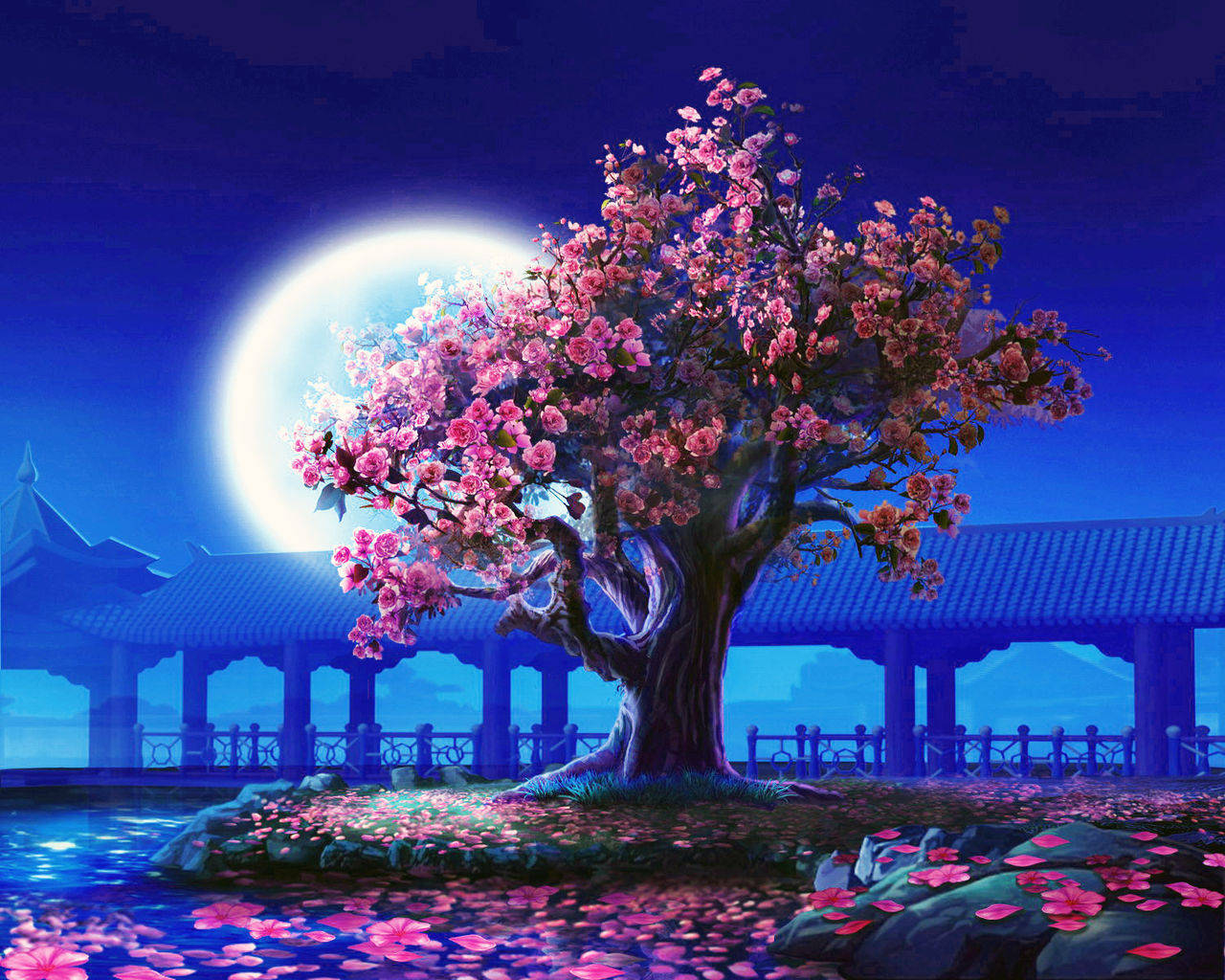 Pictures Kagaya - Cherry Blossom Tree Night , HD Wallpaper & Backgrounds