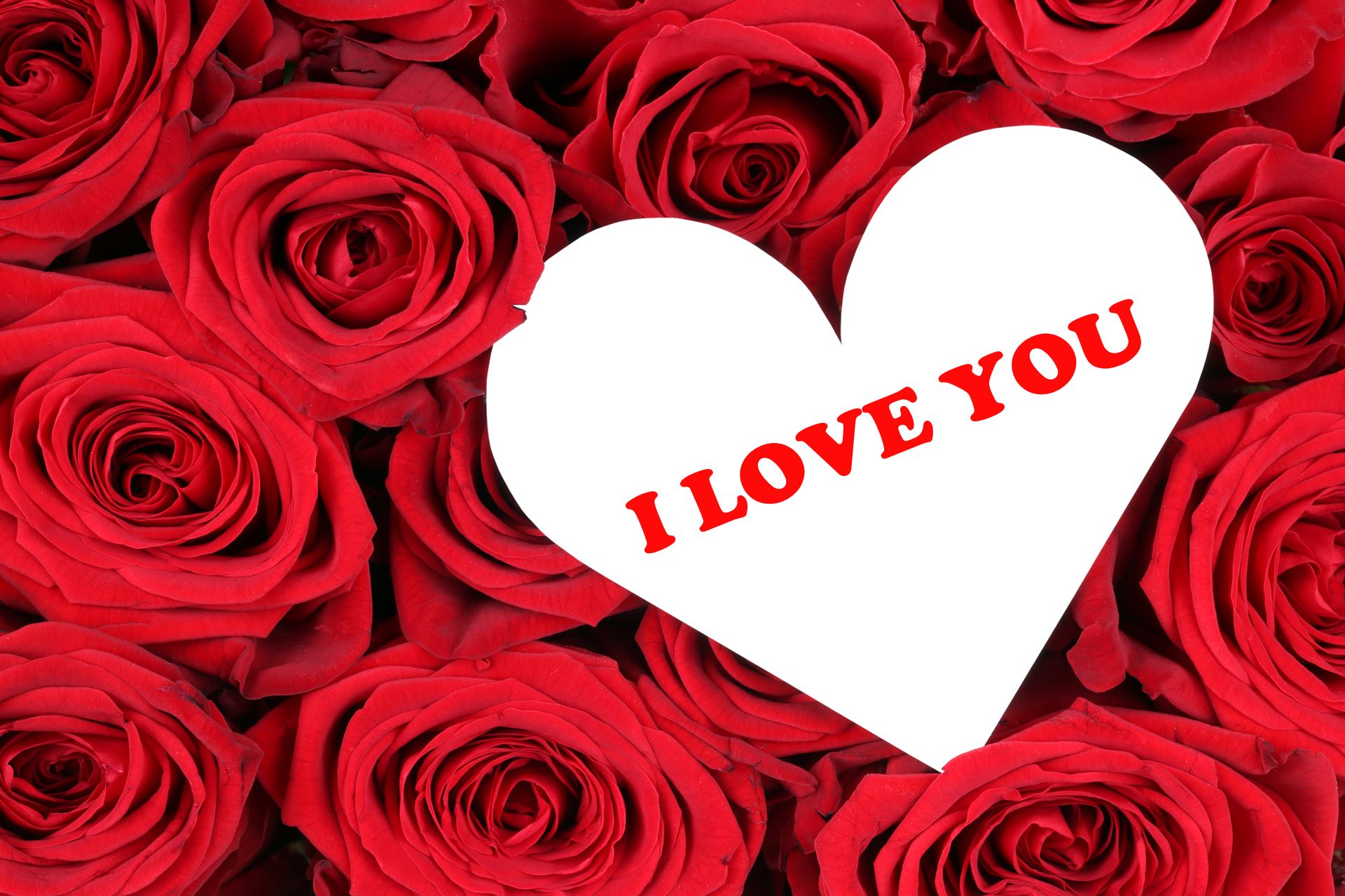 Valentine Day Red Roses With Love Heart Wallpaper - Love You Red Rose New , HD Wallpaper & Backgrounds