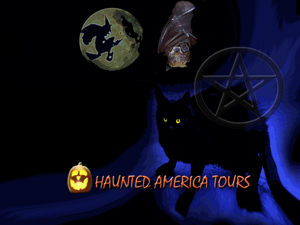 Trick Or Treat Wallpaper Haunted America Tours Wallpaper - Witch , HD Wallpaper & Backgrounds