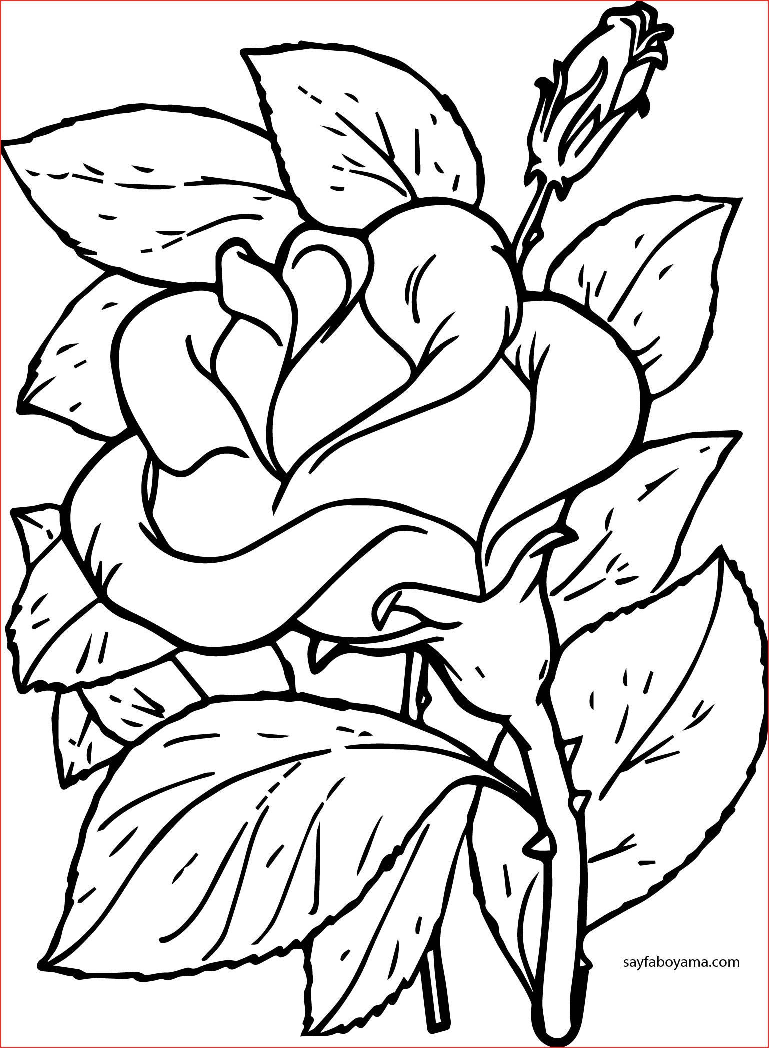 Pinterest Dessin Noir Et Blanc Beau Harika Gül ‡i§ek - Rose Coloring Pages , HD Wallpaper & Backgrounds