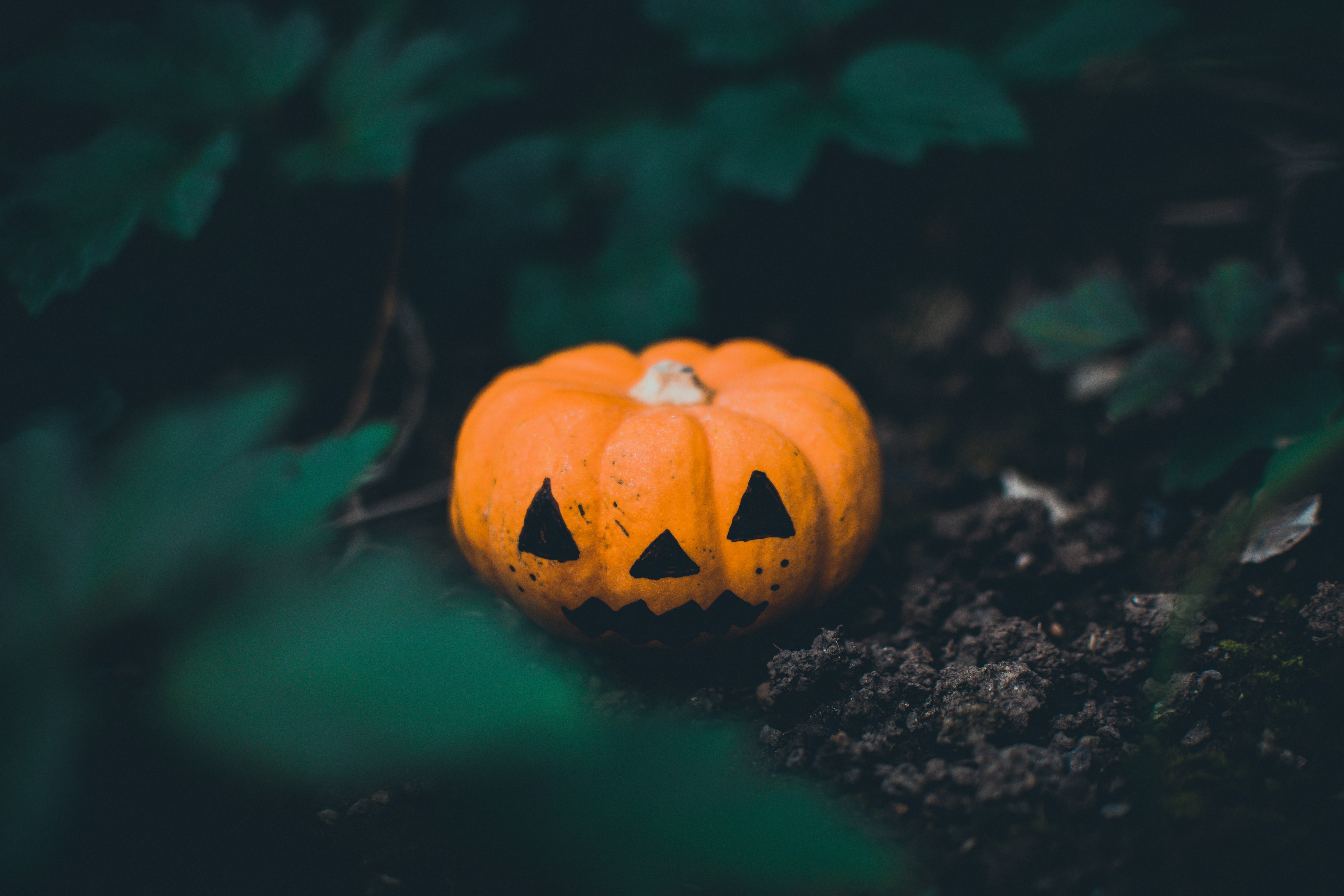 Halloween For The Infertile - Nature Blurred Wallpapers 4k , HD Wallpaper & Backgrounds