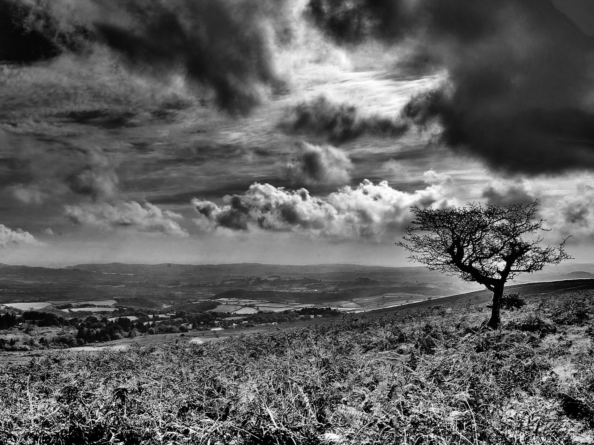 Wallpaper - Landscape In Black And White , HD Wallpaper & Backgrounds