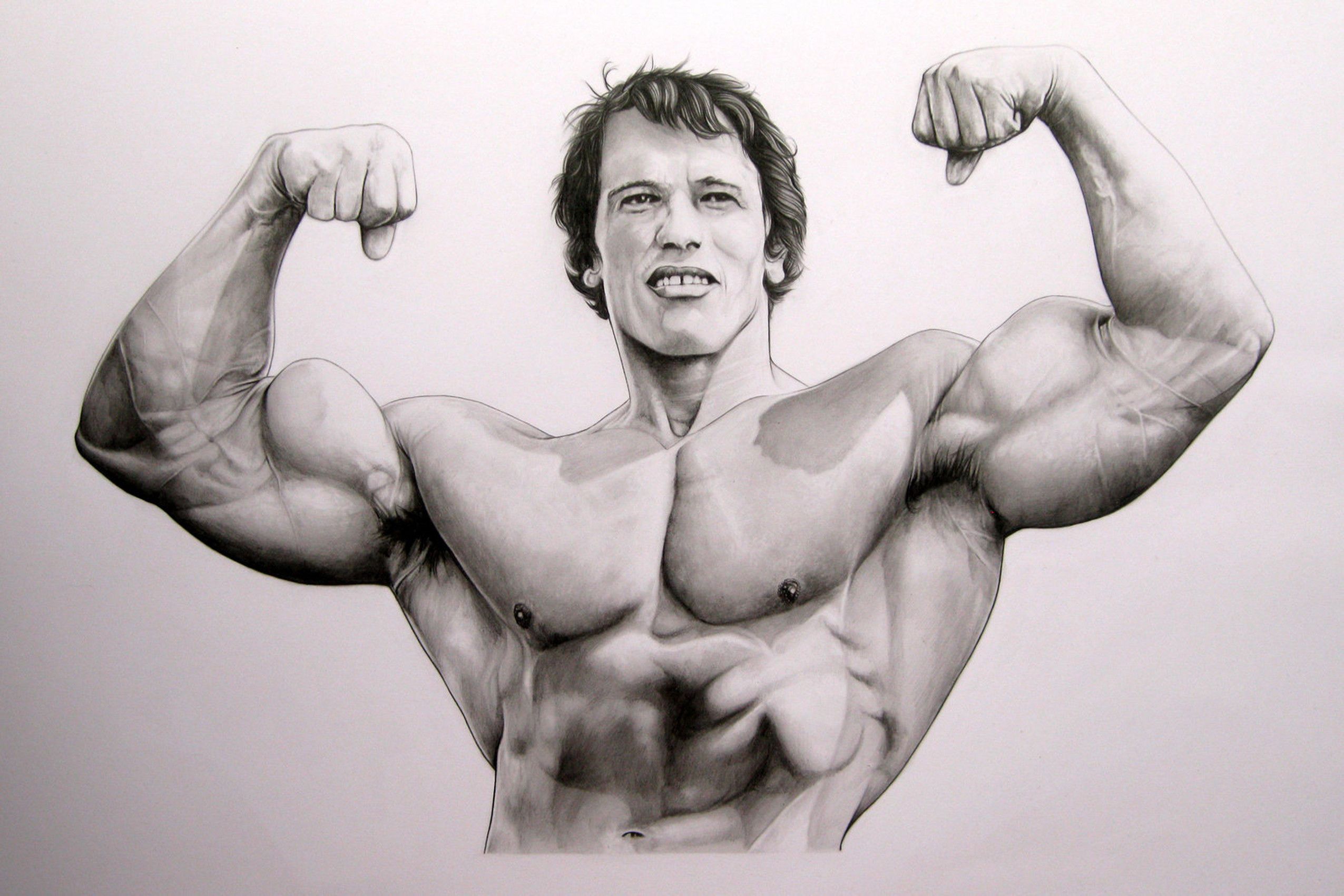 Arnold Schwarzenegger Bodybuilding Wallpapers Posters - Arnold Schwarzenegger Pencil Drawing , HD Wallpaper & Backgrounds