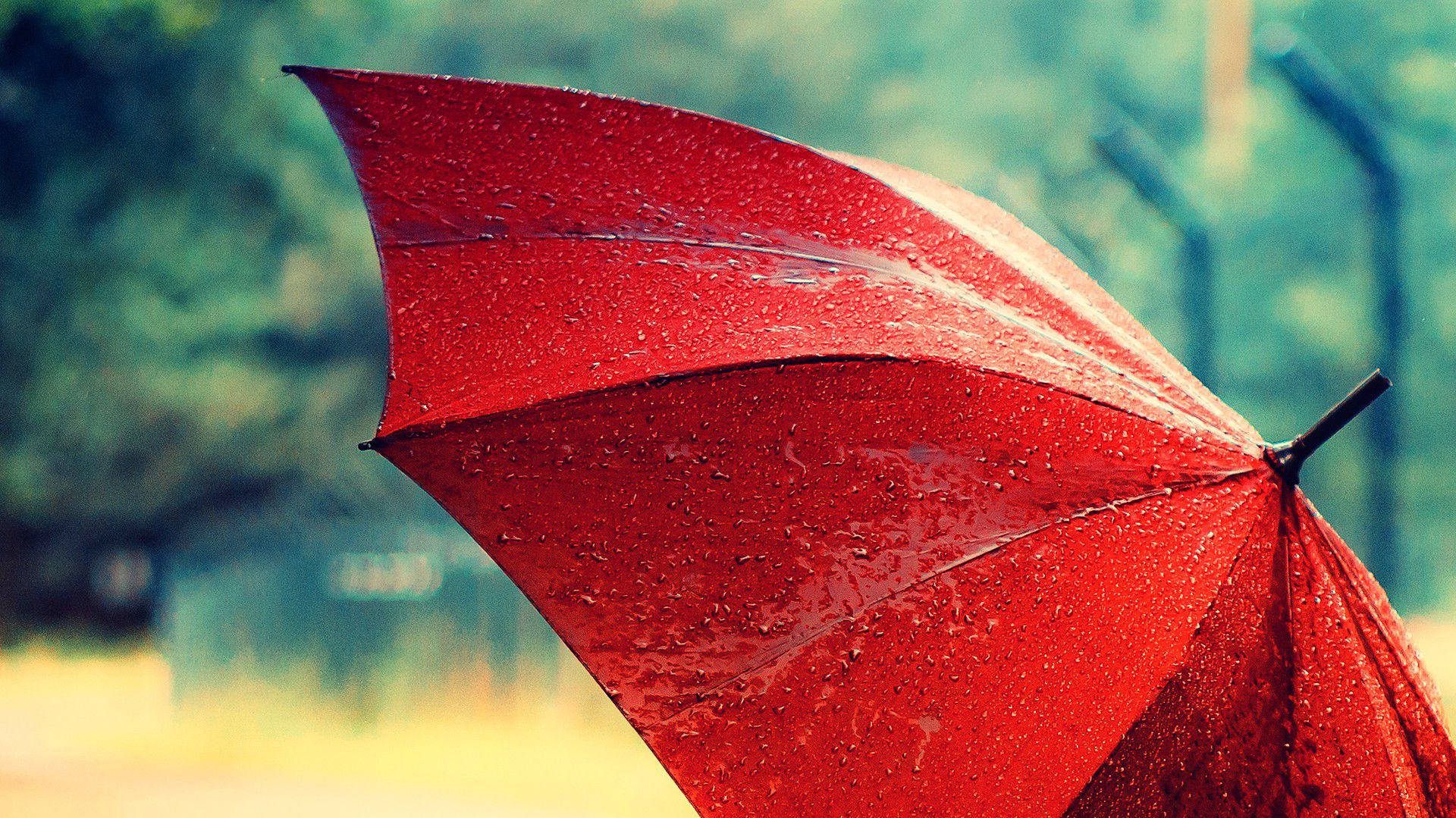 Red Umbrella In The Rain , HD Wallpaper & Backgrounds