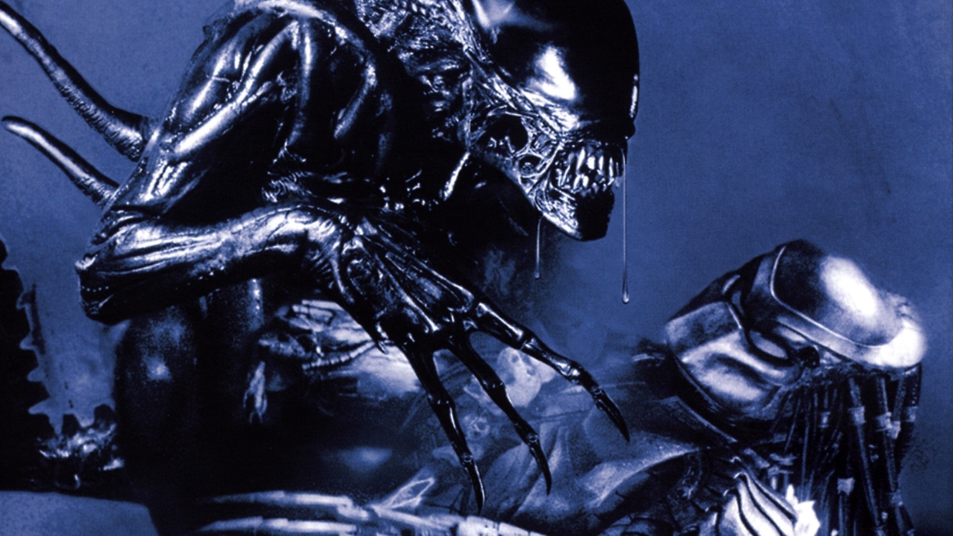 Written - Disney Alien Vs Predator , HD Wallpaper & Backgrounds