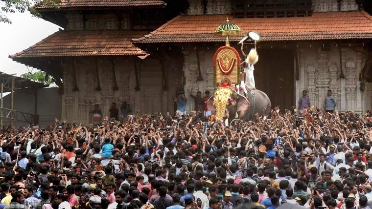 Ramachandran, The 54 Year Old Elephant Pictured Here - Thrissur Pooram Vilambaram 2019 , HD Wallpaper & Backgrounds