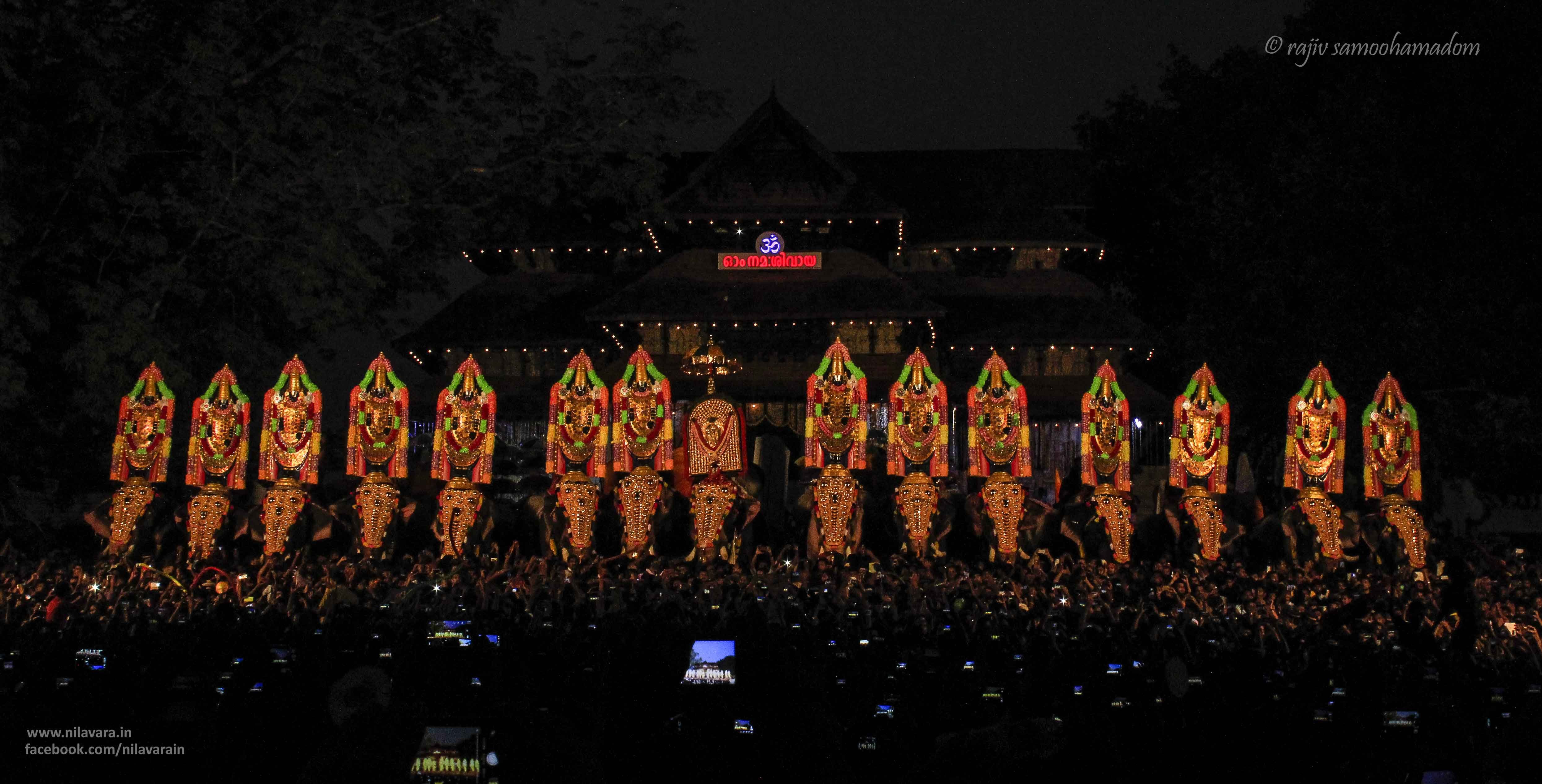 The 36 Hour Non Stop Thrissur Pooram Is A Post Harvest - Thrissur Pooram Facebook Cover , HD Wallpaper & Backgrounds