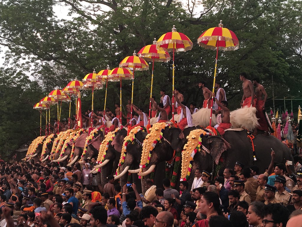 Thrissur Pooram - Crowd , HD Wallpaper & Backgrounds