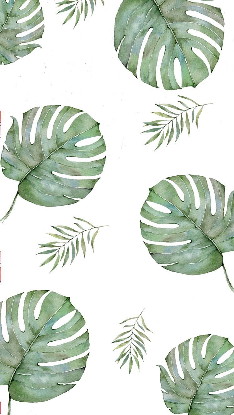 Plantas Leaves Wallpaper Iphone, Simple Iphone Wallpaper, - Leaves Minimalist , HD Wallpaper & Backgrounds
