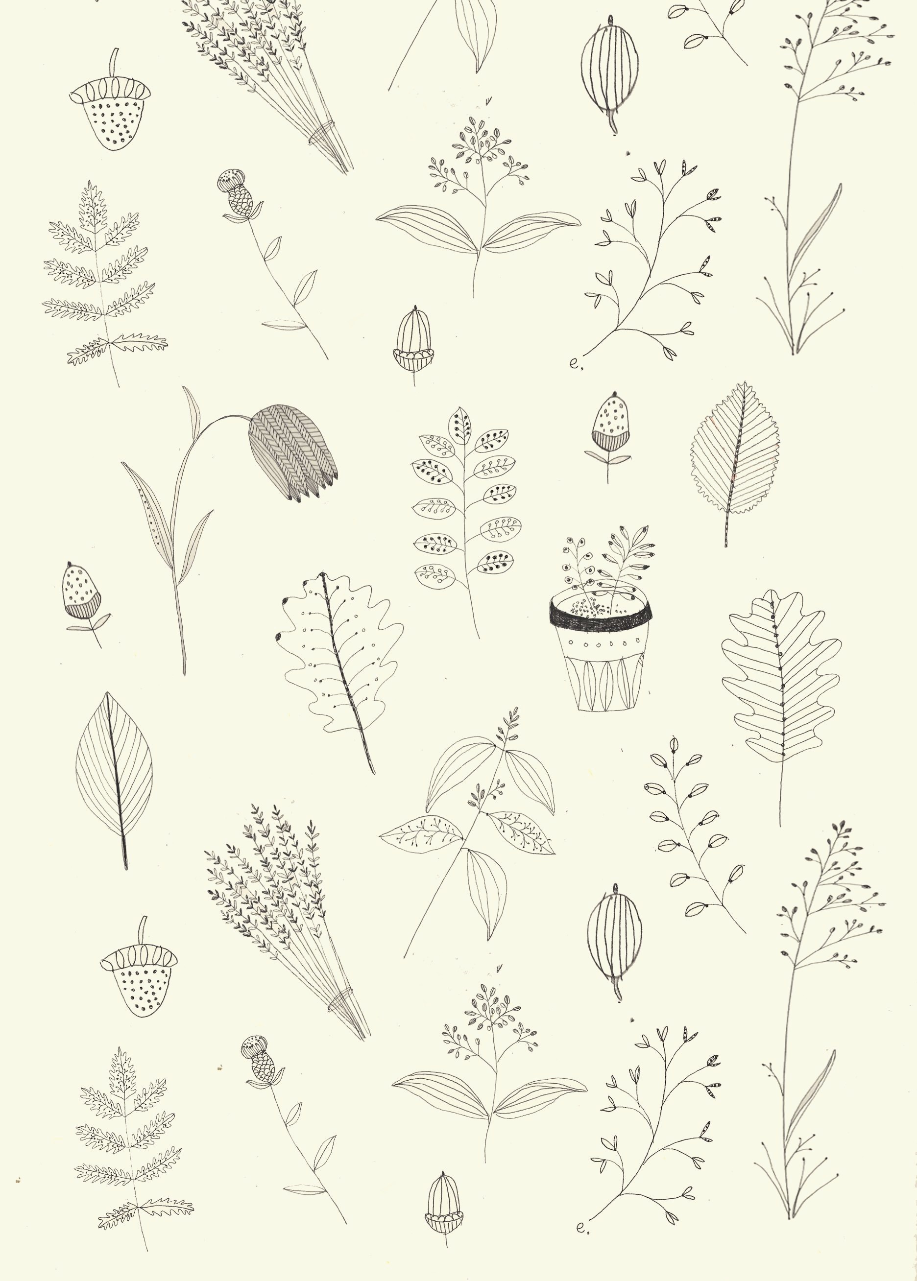 Como Desenhar Flores E Plantas Inspiradora Katt Frank - Dibujo De Flores , HD Wallpaper & Backgrounds