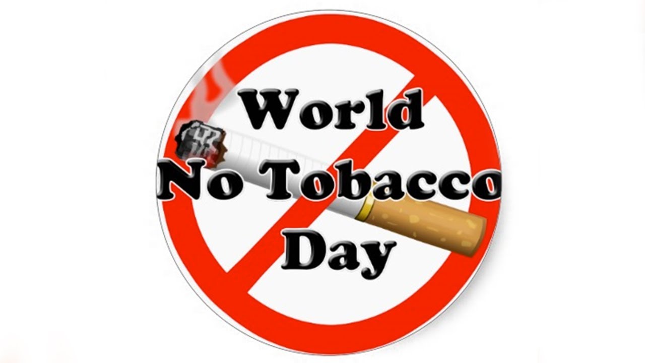 World No Tobacco Day Quit Smoking - Essay On Say No To Tobacco , HD Wallpaper & Backgrounds