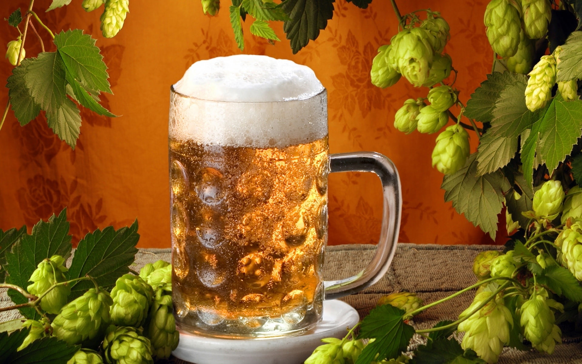 Cerveza, Jarra, Lupulu, Plantas, Vidrio - Hops And Beer , HD Wallpaper & Backgrounds