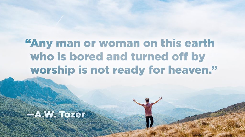 Worship Quotes-1 Tozer - Quotes On Worship , HD Wallpaper & Backgrounds