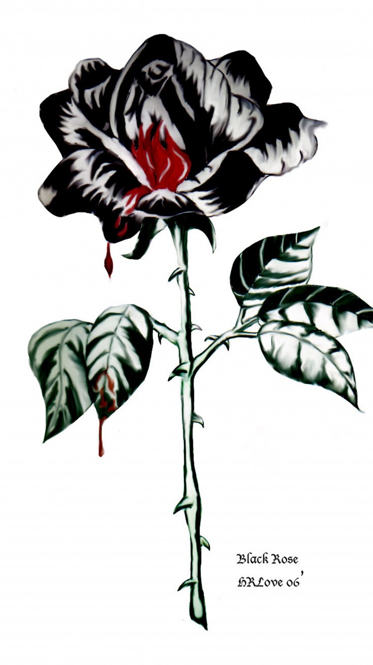 Download Black Rose Aeonium Black Rose Antiques Wallpaper