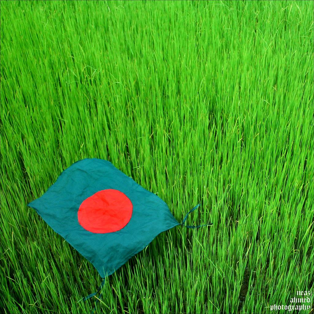 Victory Day Of Bangladesh Wallpaper Apk Download - Bangladesh Victory Day 16th December , HD Wallpaper & Backgrounds