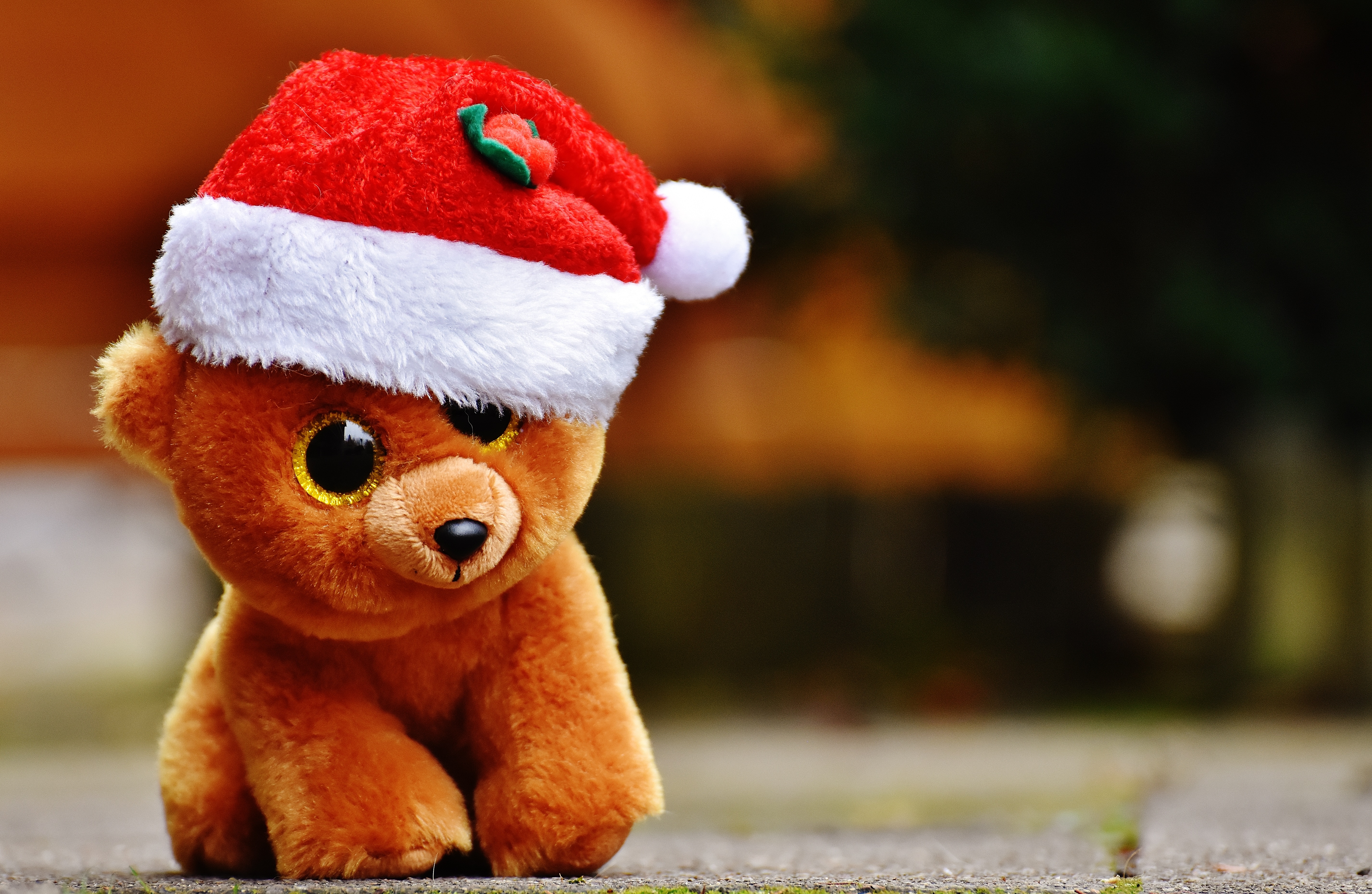 Wallpaper Toy, Teddy Bear, Christmas , HD Wallpaper & Backgrounds