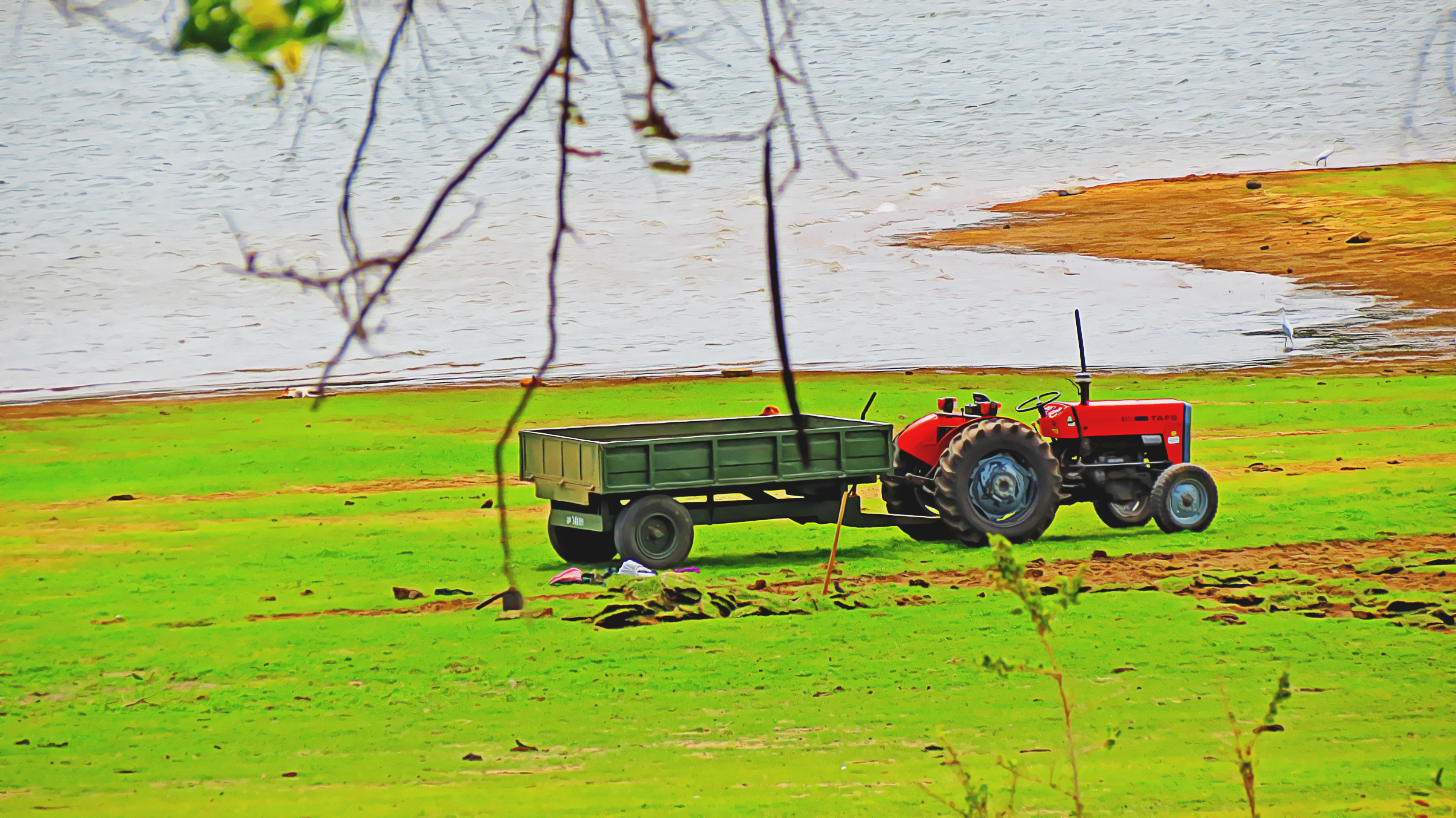 Tractor 1 Cartoon Backgrounds Commercial Free Cool - Grass , HD Wallpaper & Backgrounds