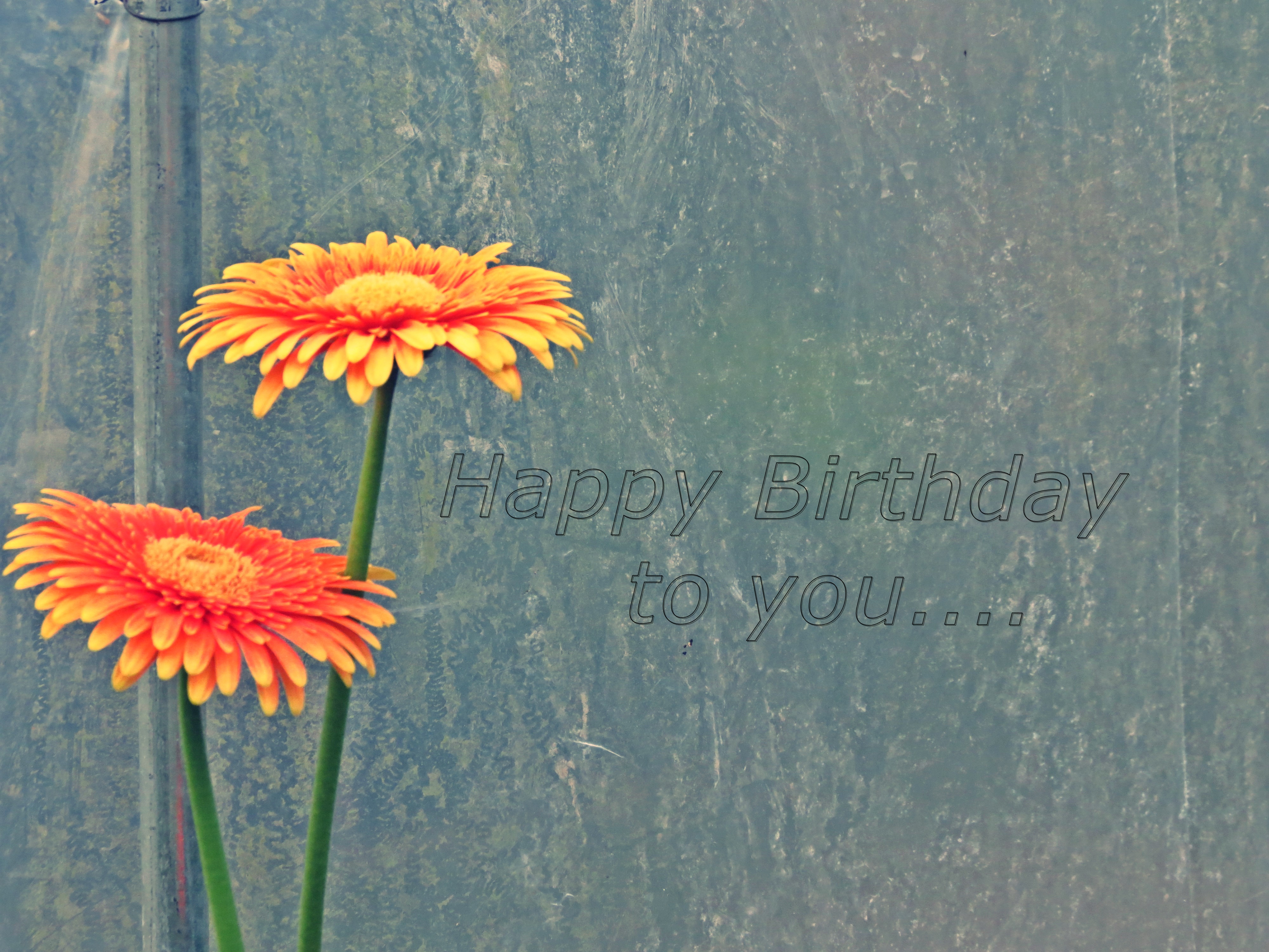 Happy-birthday 3 Mb Commercial Free Use Easy Download - Free Happy Birthday Nature , HD Wallpaper & Backgrounds