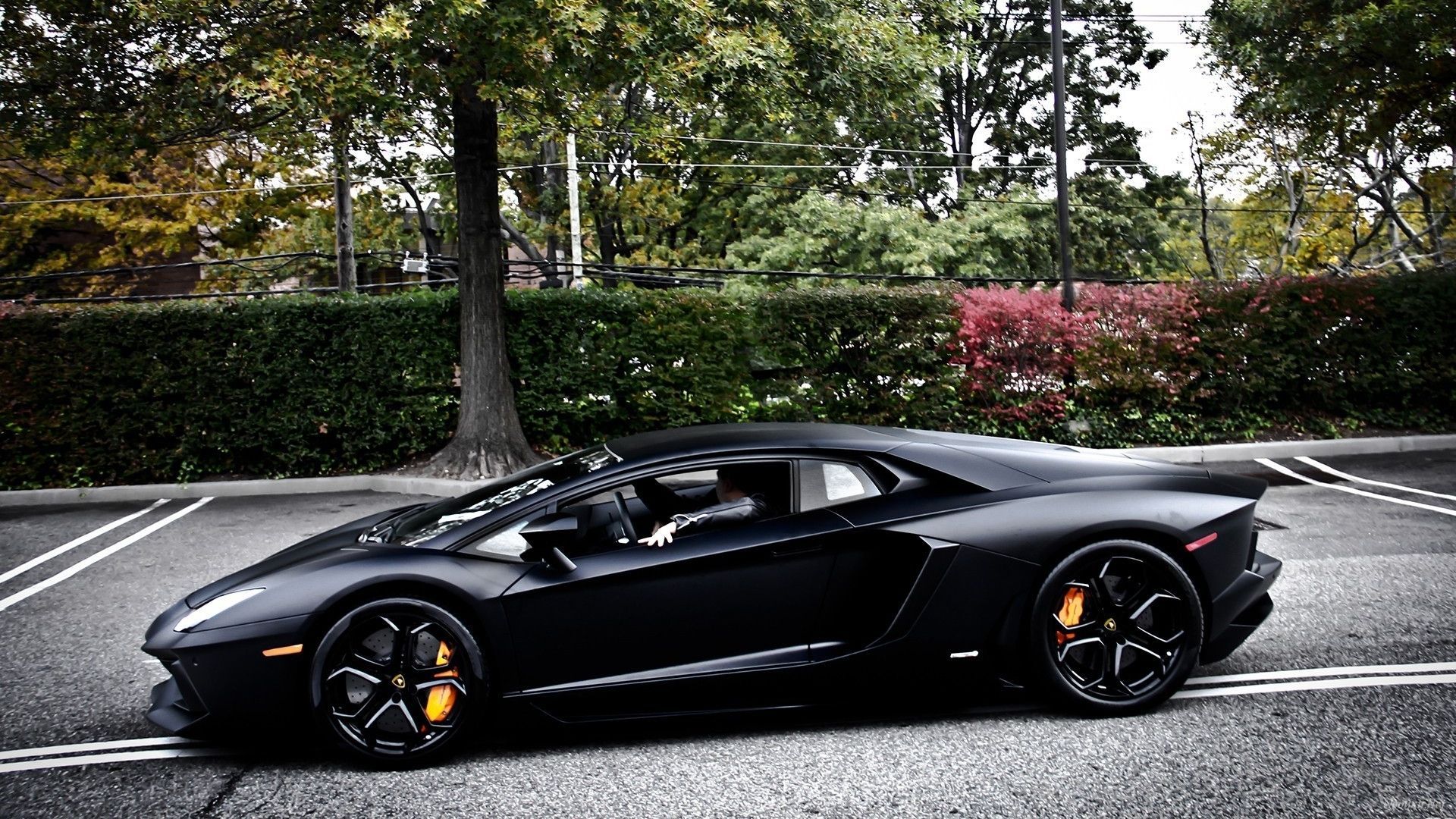 Black Lamborghini Side Wallpaper Wallpaper - Lamborghini Aventador Black Price In India , HD Wallpaper & Backgrounds