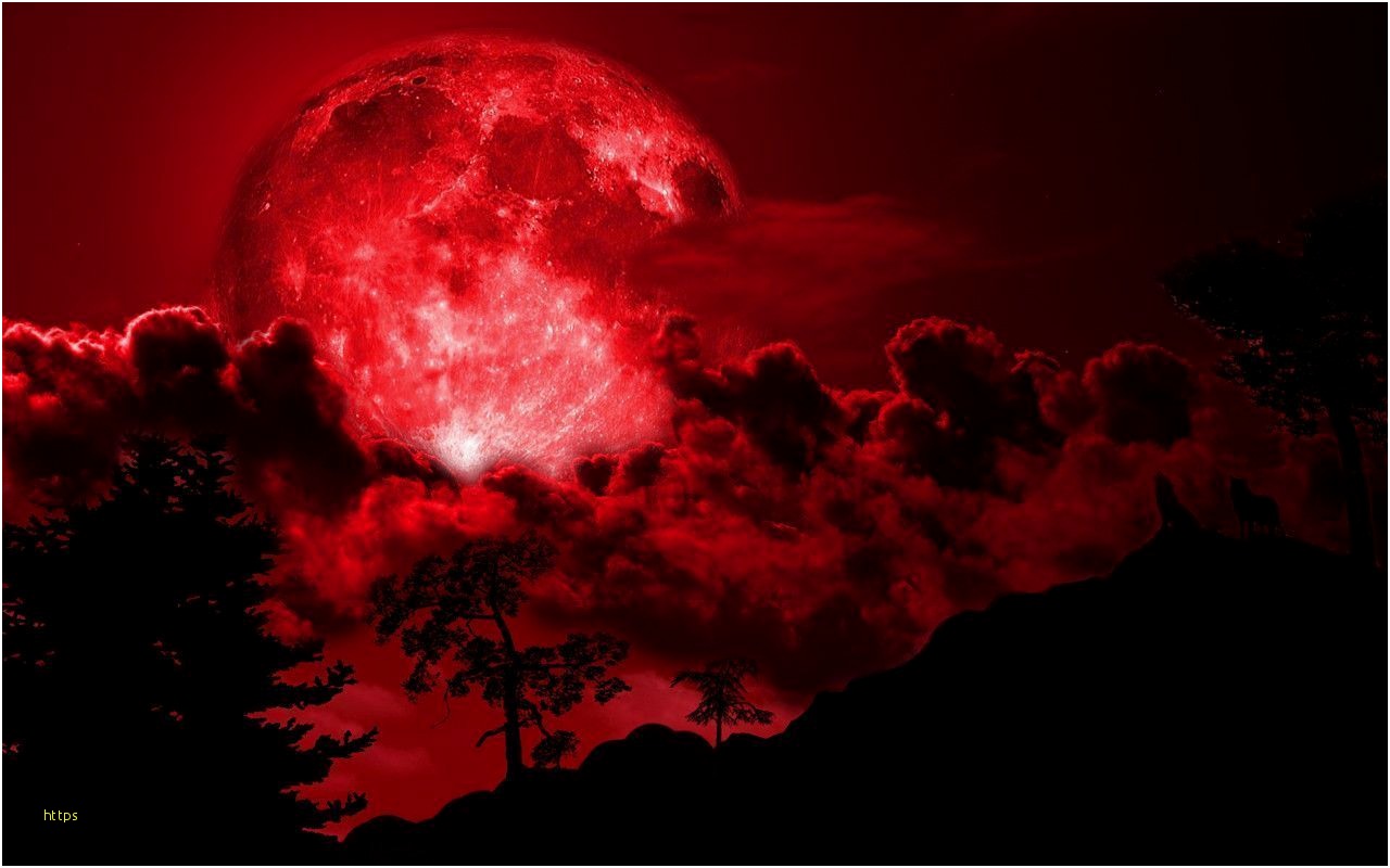 Dark Side Of The Moon Wallpaper Elegant Red Full Moon - Red Moon , HD Wallpaper & Backgrounds