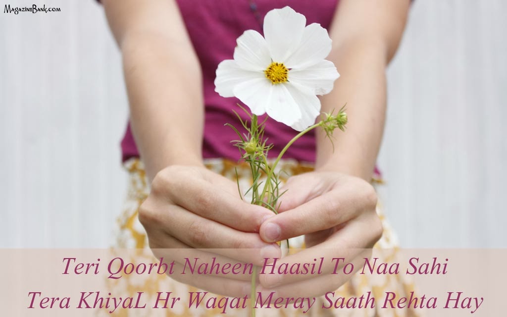 Sorry Shayari Wallpaper - Flower For You My Friend , HD Wallpaper & Backgrounds