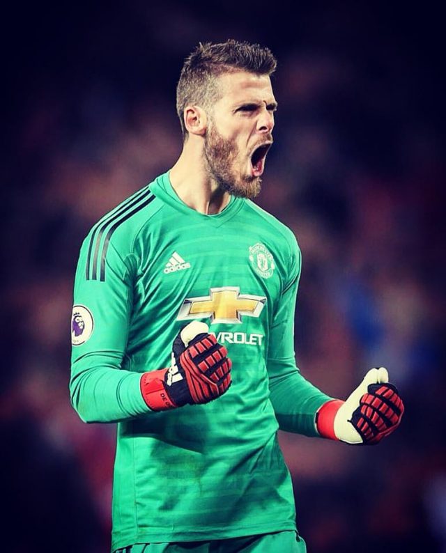 All Wallpapers Are Completely Free And Please Check - David De Gea 2019 , HD Wallpaper & Backgrounds