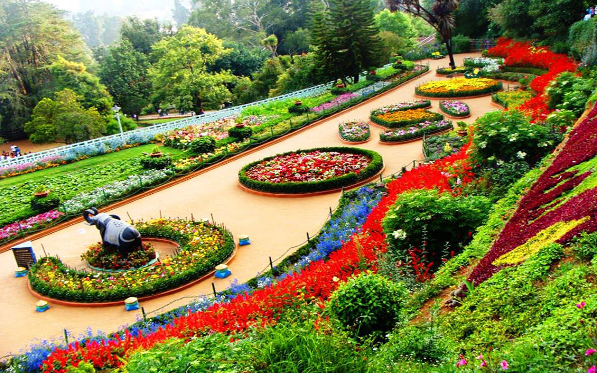 Botanical Garden Ooty India Wallpapers And Stock Photos - Beautiful Places In Chandigarh , HD Wallpaper & Backgrounds