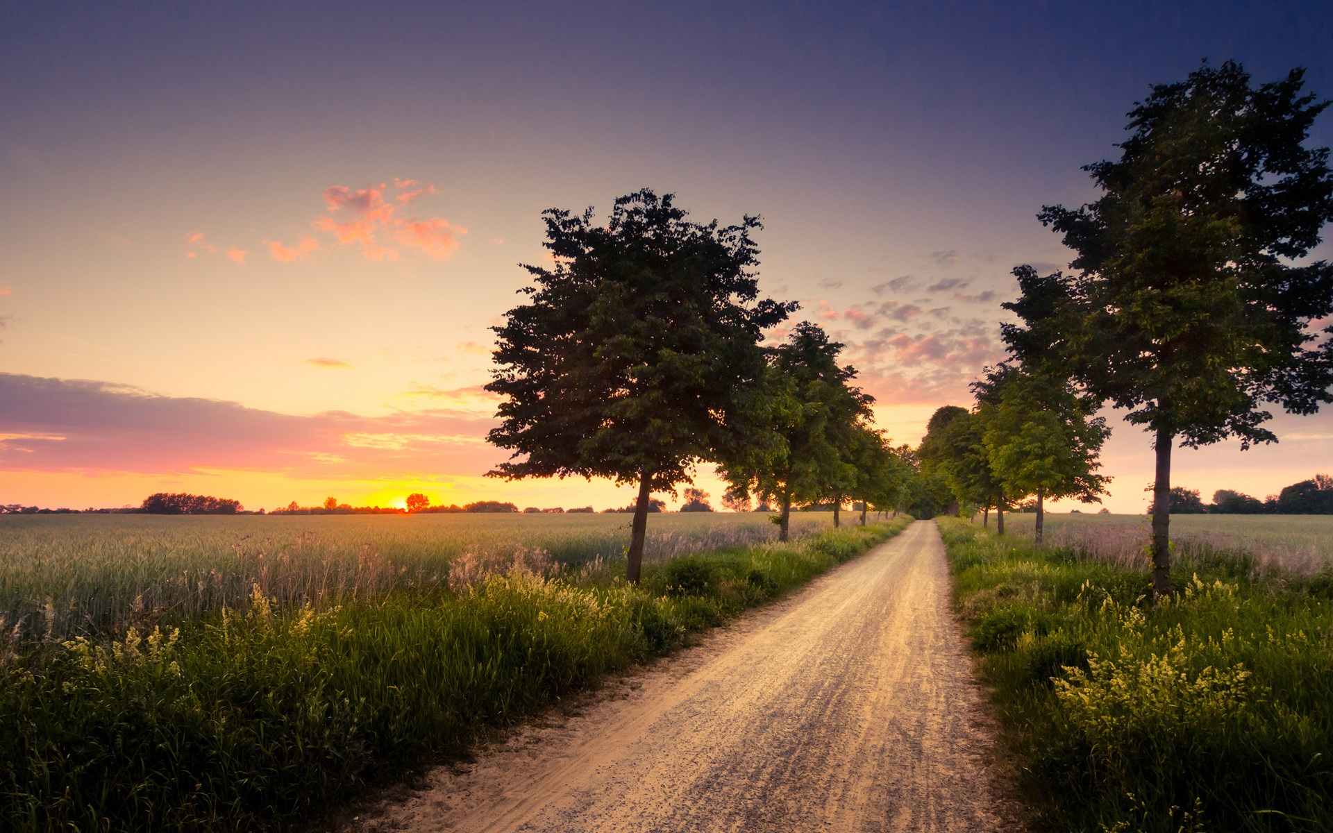 Baum Feldweg Landschaft Bei Sonnenuntergang Hd - Field Tree , HD Wallpaper & Backgrounds