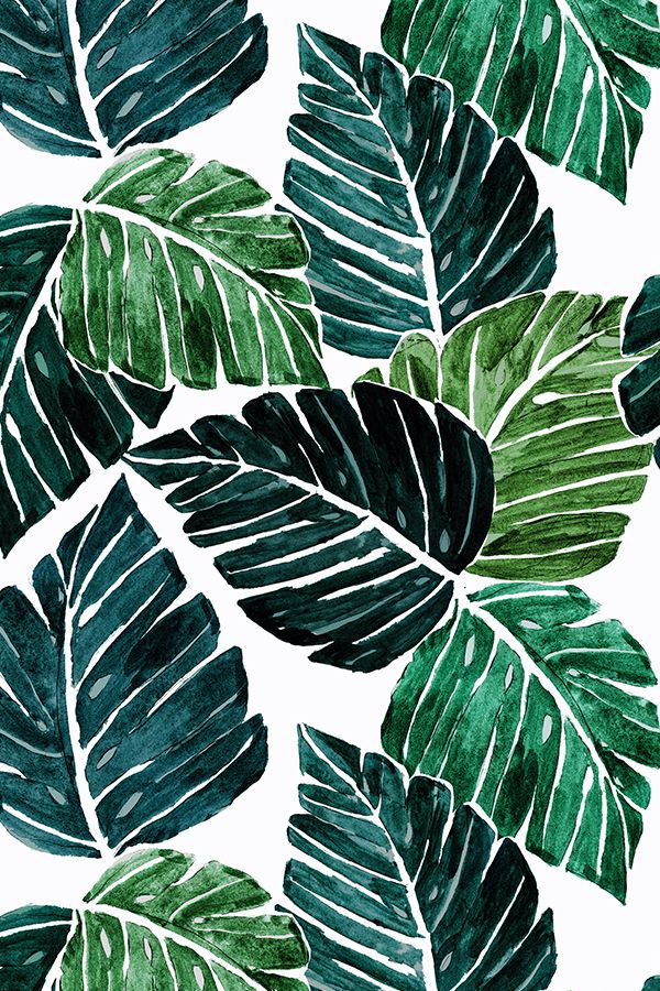 Monstera Leaves By Crystal Walen - Iphone Monstera Leaf , HD Wallpaper & Backgrounds