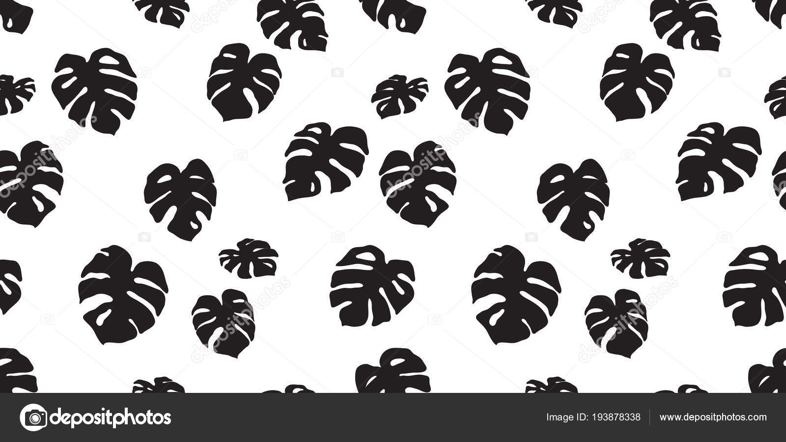 Monstera Leaves Plant Seamless Pattern Vector Isolated - モンステラ 壁紙 , HD Wallpaper & Backgrounds