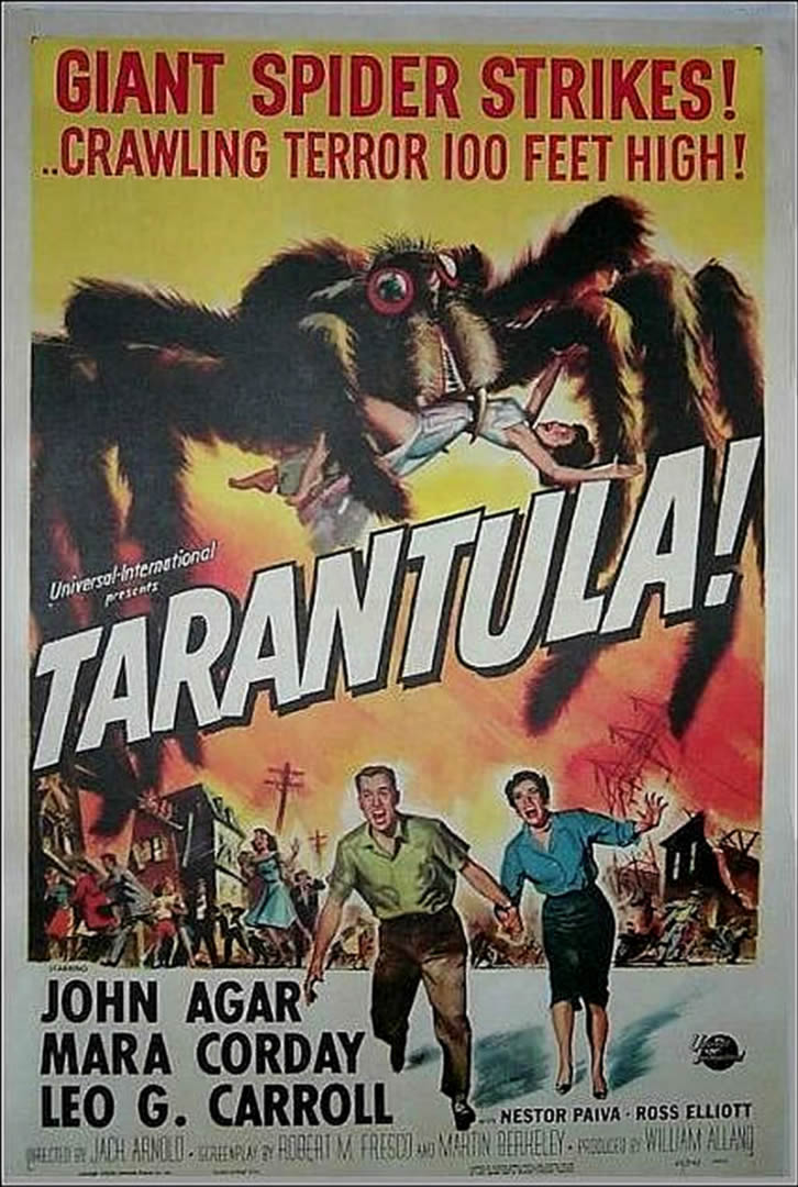 Tarantula - Jack Arnold Film , HD Wallpaper & Backgrounds