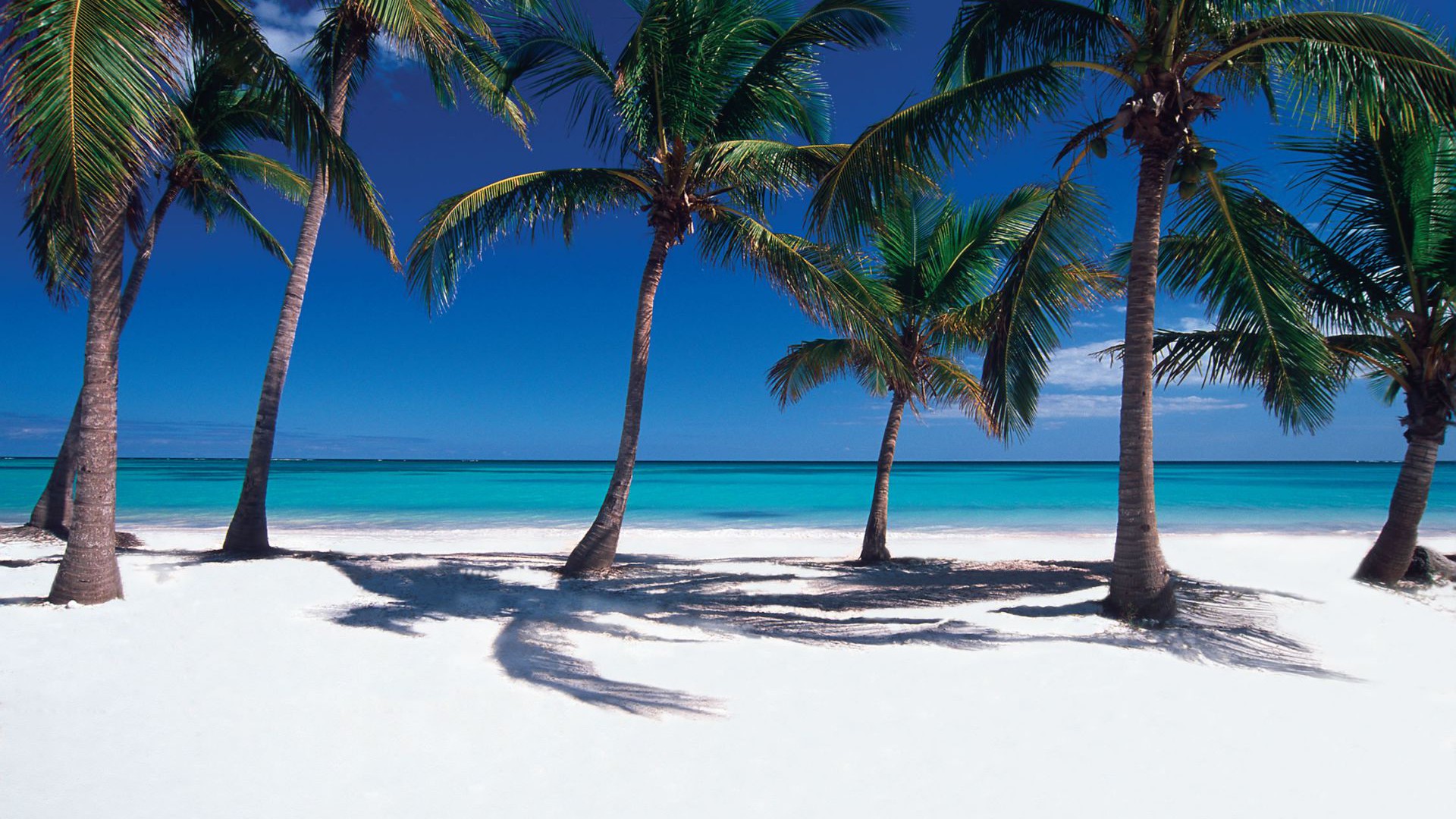 Punta Cana Beach - Punta Cana , HD Wallpaper & Backgrounds