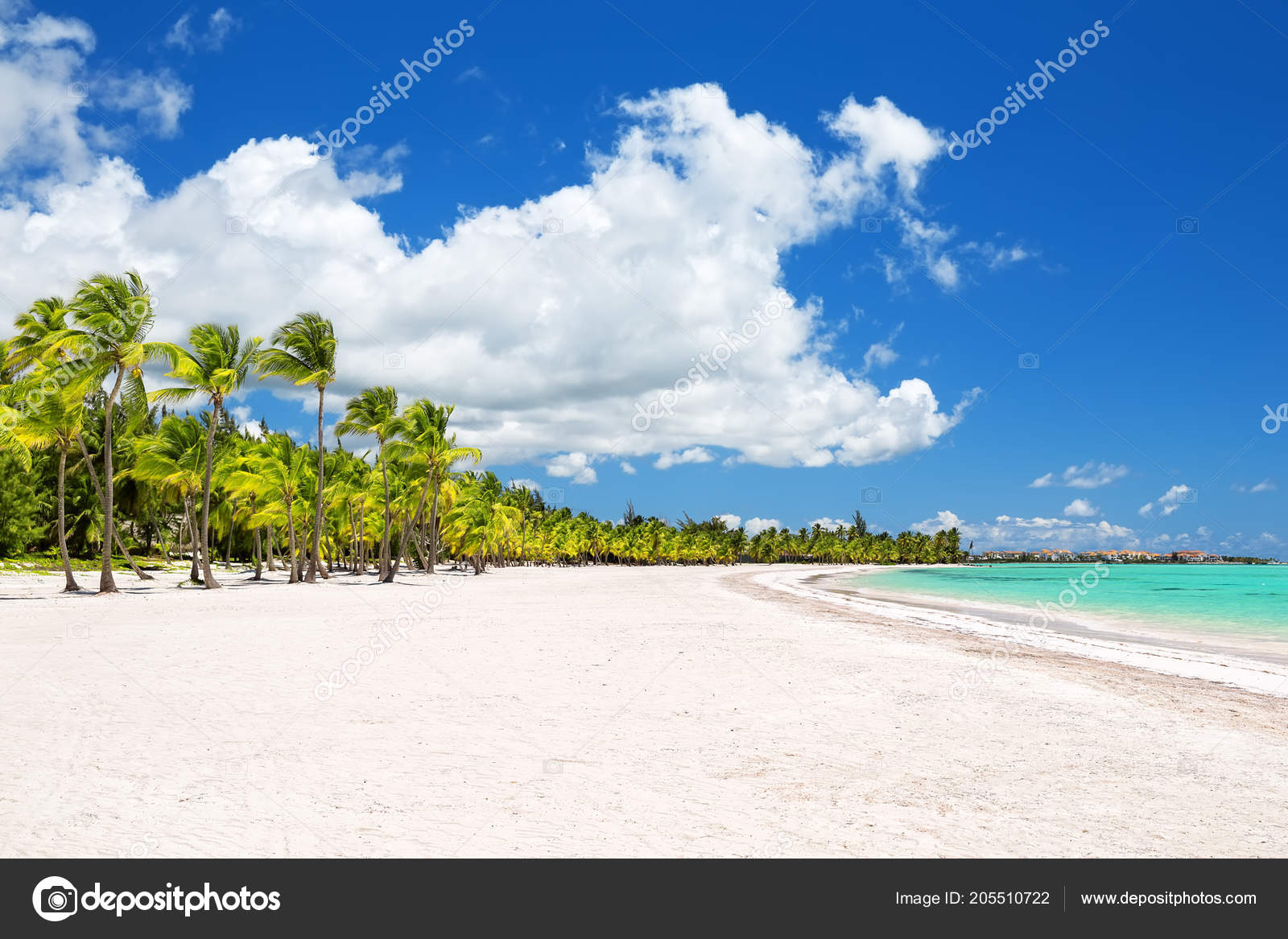 Coconut Palm Trees On White Sandy Beach In Punta Cana, - Caribbean , HD Wallpaper & Backgrounds