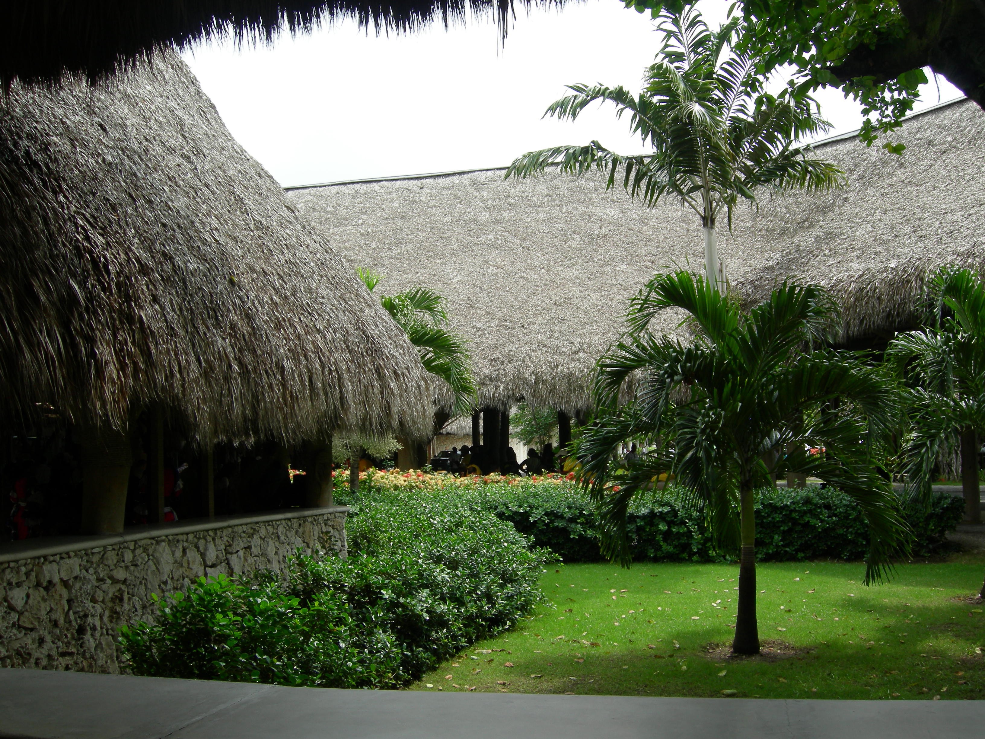Plane Punta Airport Cana Bungalo Bungalow Nature Hd - Thatching , HD Wallpaper & Backgrounds