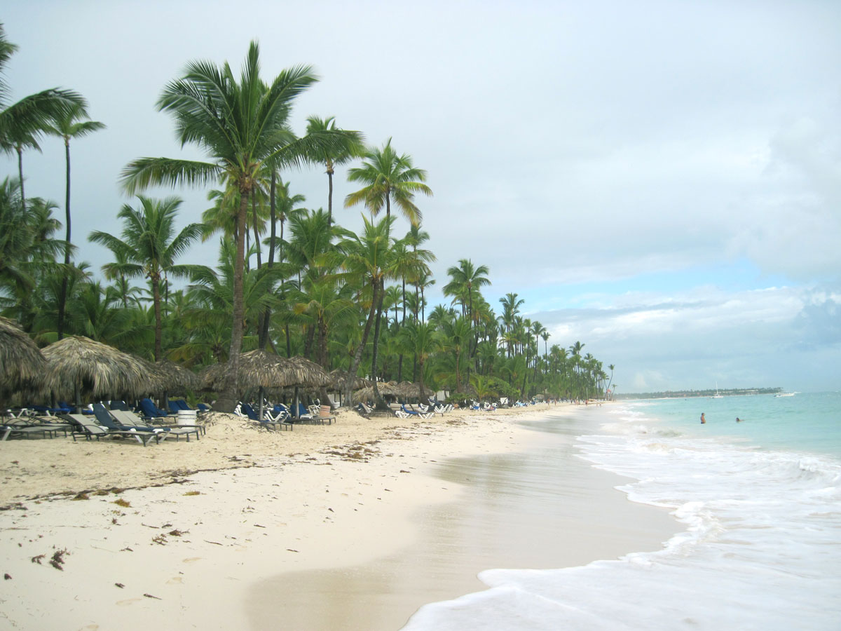 Punta Cana Beach Sand Ocean Palm Wallpaper - Beach Ridge , HD Wallpaper & Backgrounds
