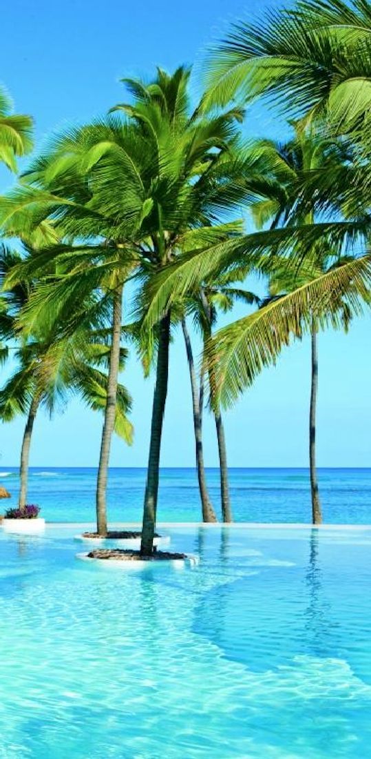 Punta Cana Todo Incluido Get 25 Dollars Off Your First - Beautiful Punta Cana , HD Wallpaper & Backgrounds