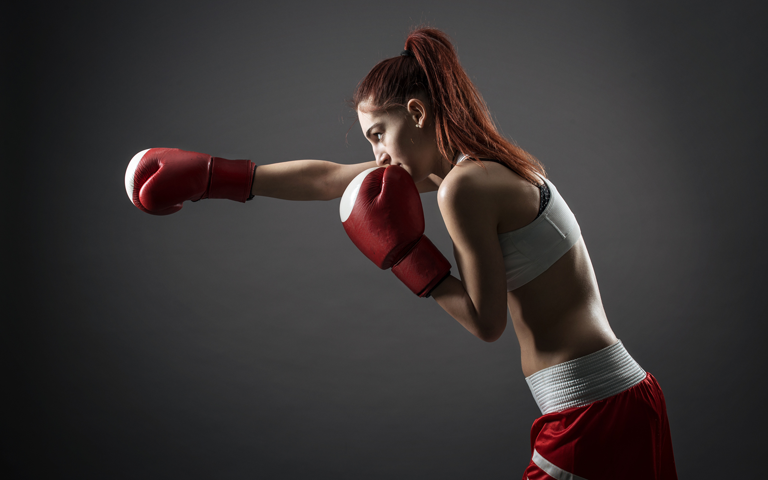 2560 X - Fond Ecran De Boxe , HD Wallpaper & Backgrounds