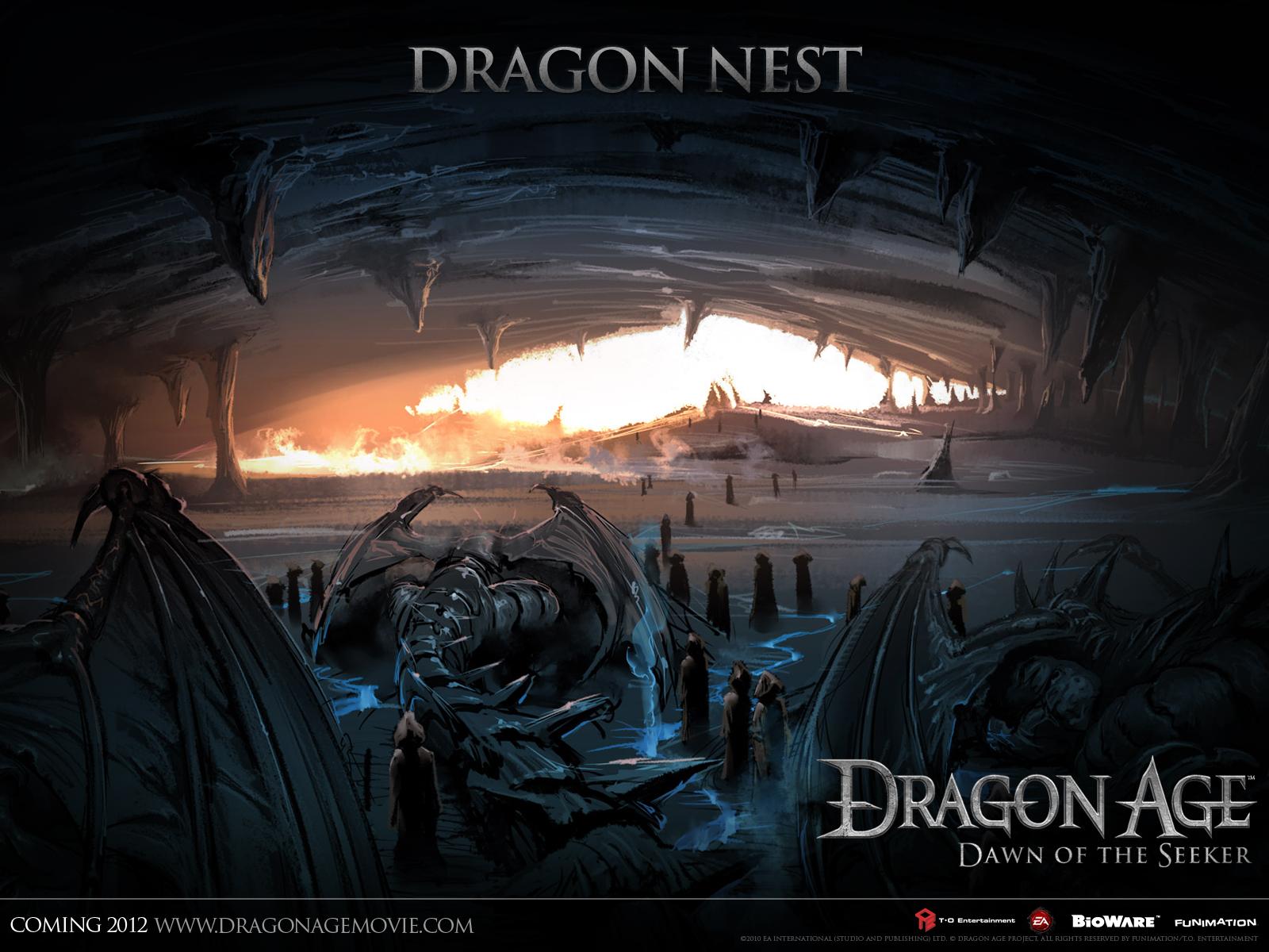 Dragon Nest Wallpaper Hd - Dragon Age 2 , HD Wallpaper & Backgrounds