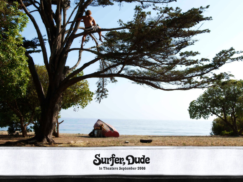 Matthew Mcconaughey In Surfer, Dude Wallpaper - Surfer, Dude (2008) , HD Wallpaper & Backgrounds