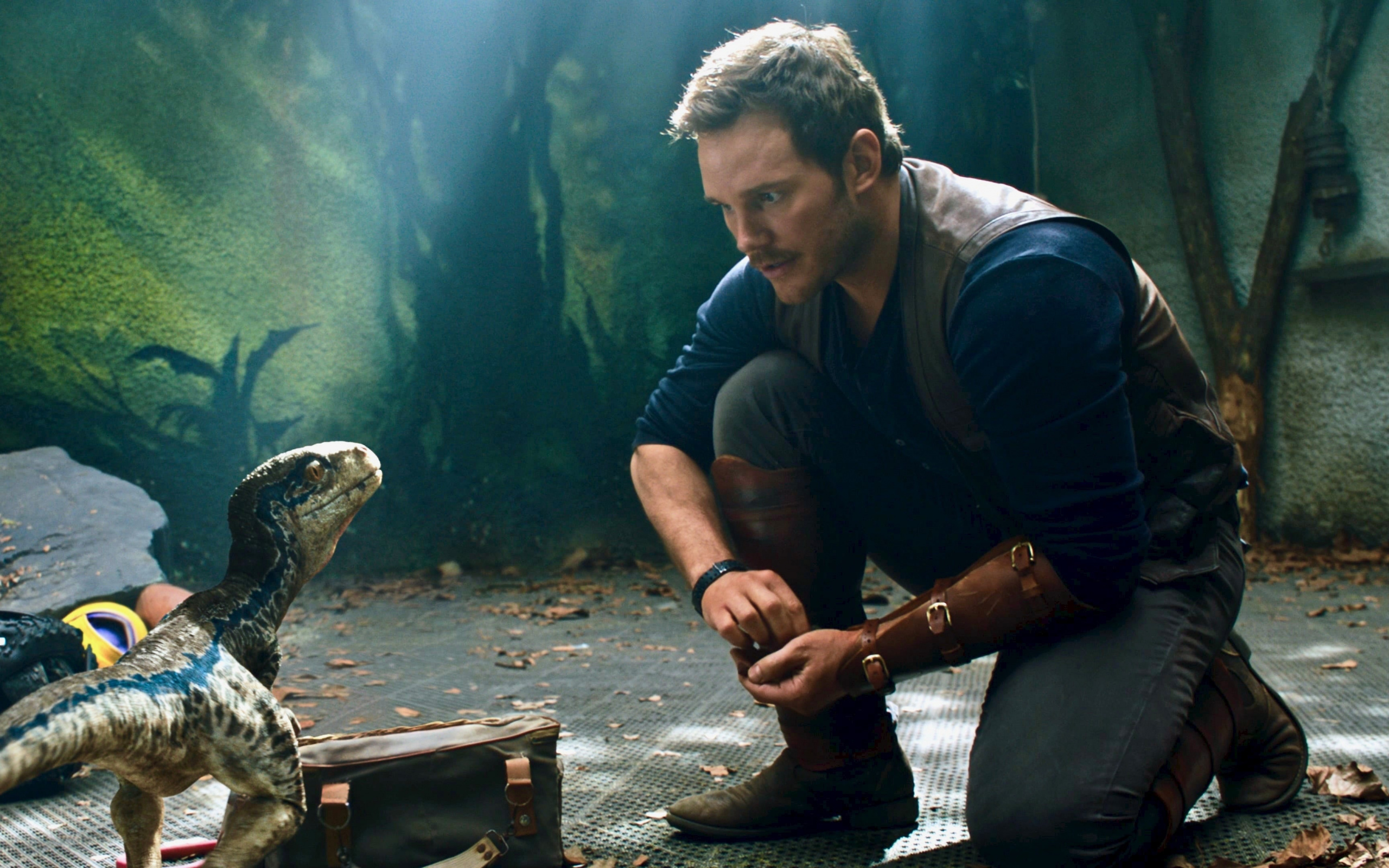 Film, Chris Pratt, Movie, Dinosaur, Cinema Wallpaper - Macy Jurassic World The Fallen Kingdom , HD Wallpaper & Backgrounds