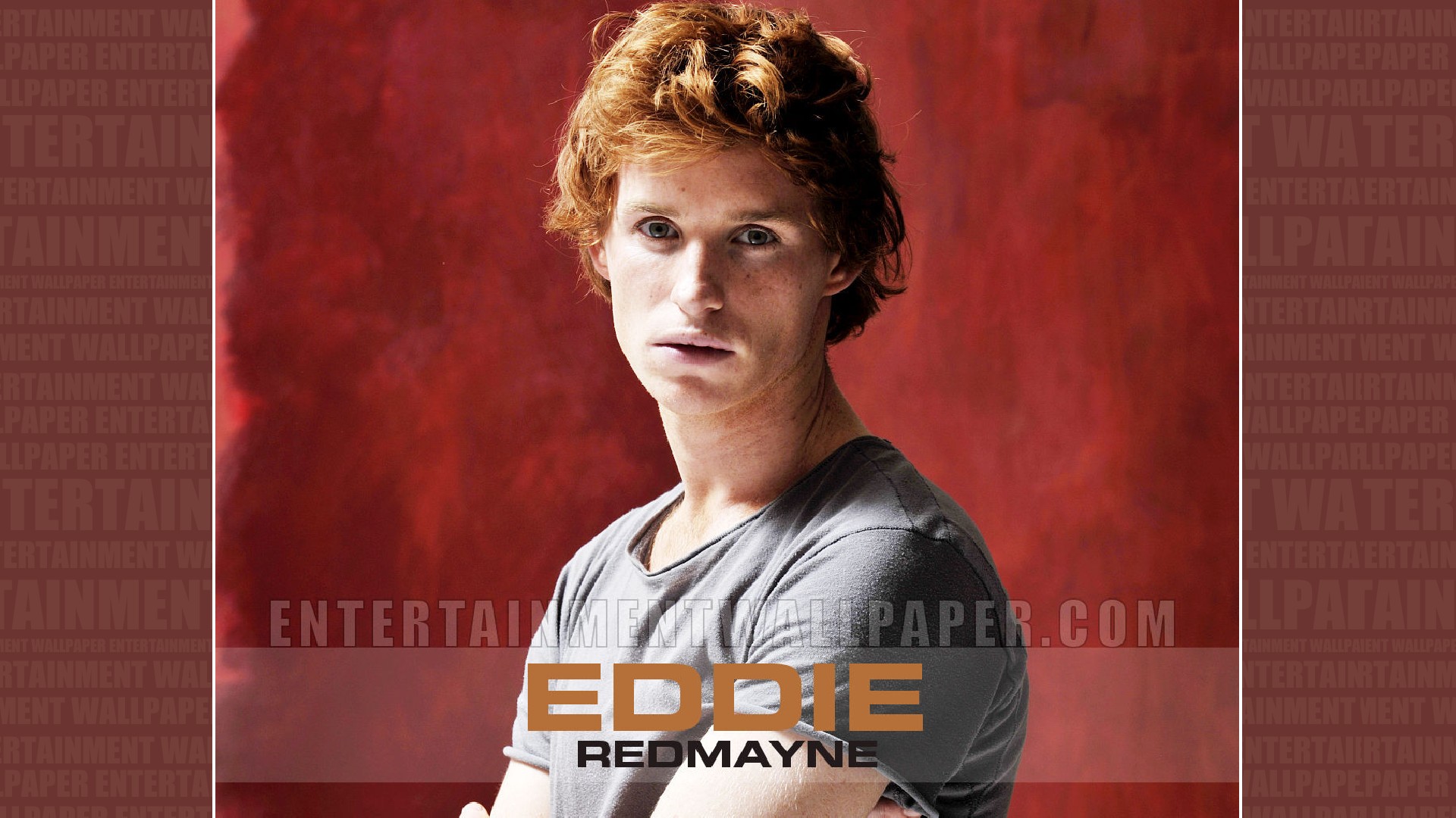 Eddie Redmayne Wallpaper - Poster , HD Wallpaper & Backgrounds