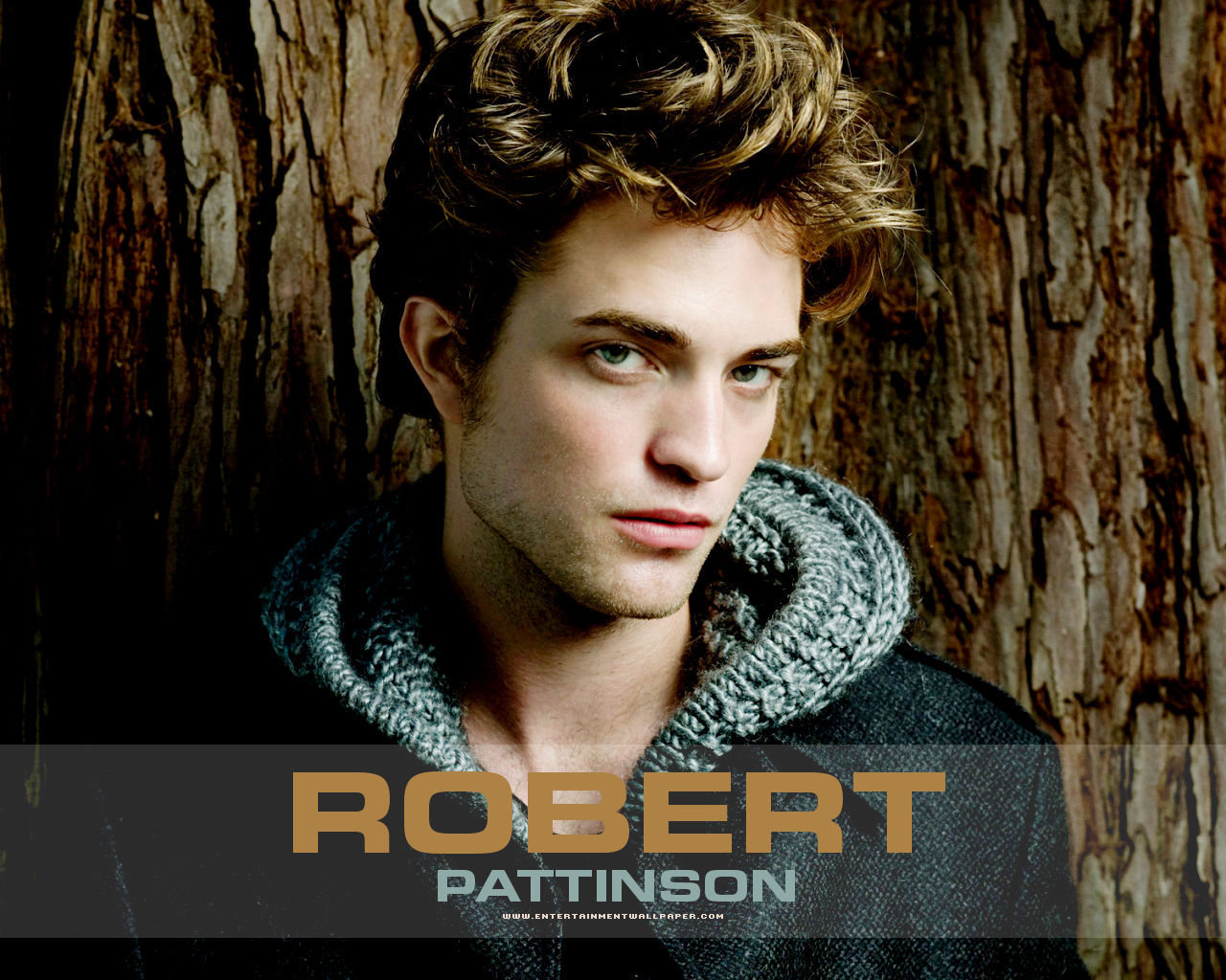 Robert Pattinson Clipart Free Download , HD Wallpaper & Backgrounds