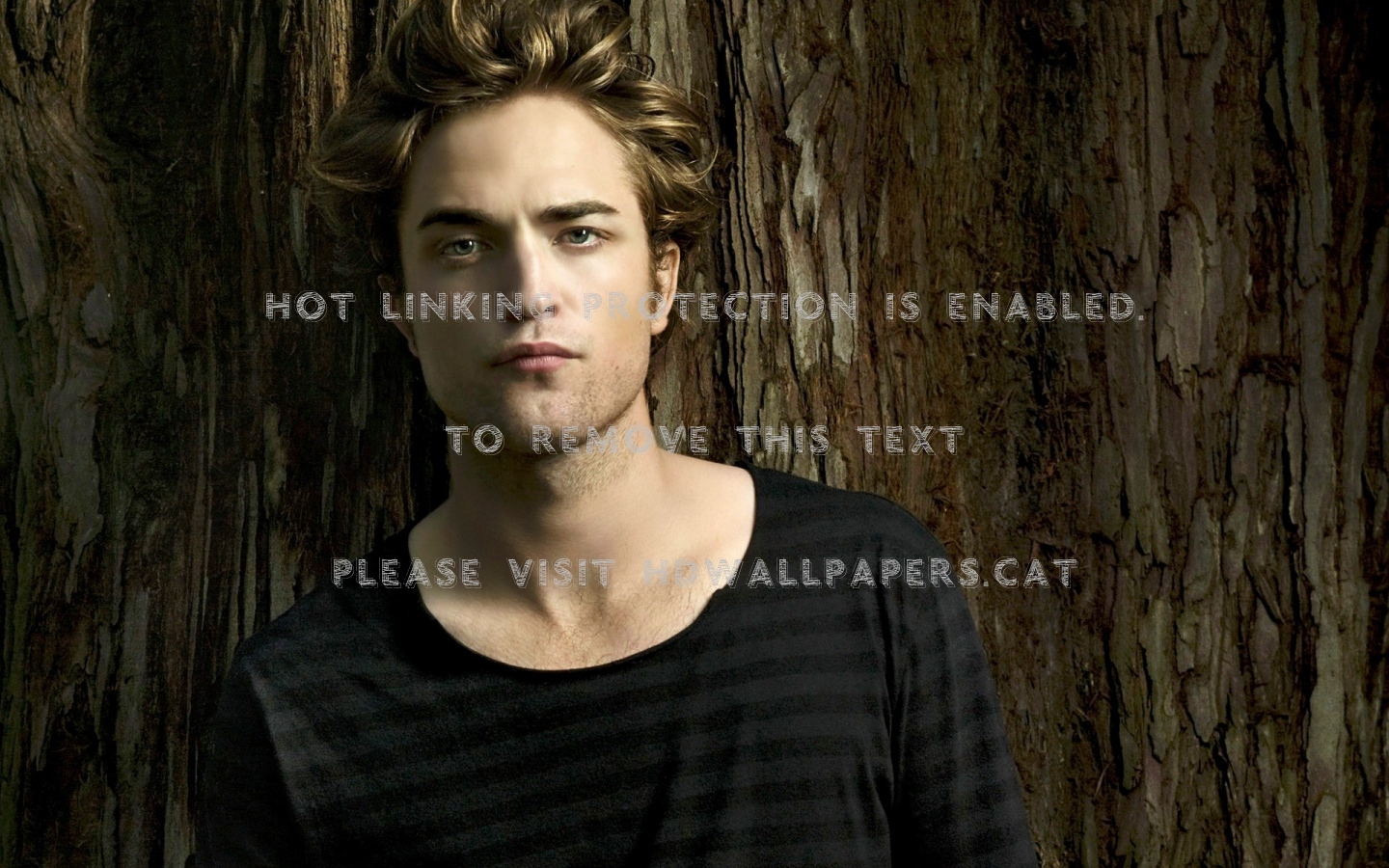 Robert Pattinson , HD Wallpaper & Backgrounds