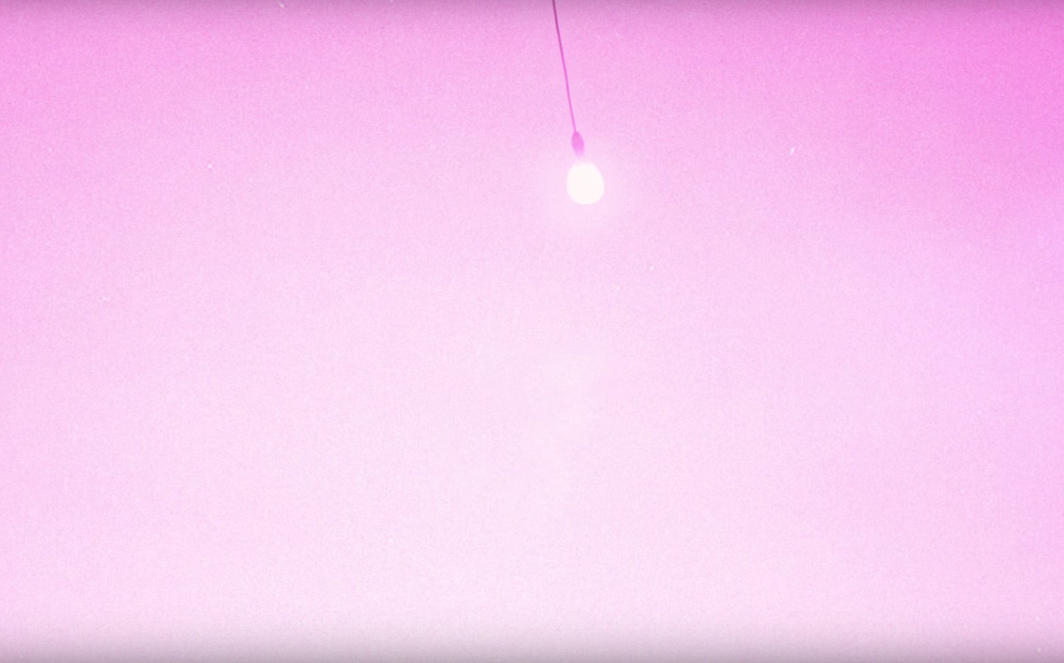 Japanese Wallpaper's Second Lp Shows He Isn't Fooling - Mac...