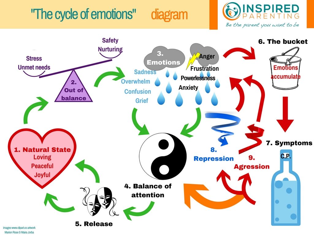 “cycle Of Emotions” Diagram , HD Wallpaper & Backgrounds
