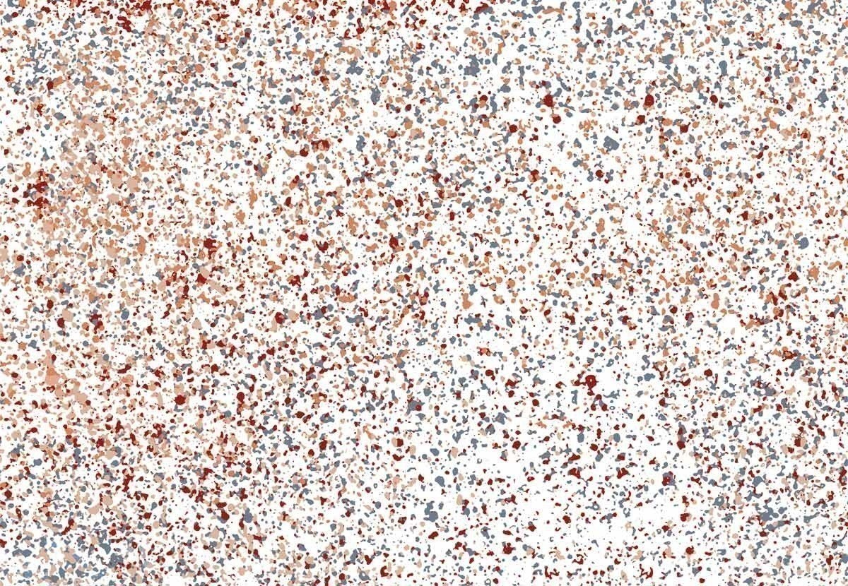 Stardust - Bien Fait Stardust , HD Wallpaper & Backgrounds