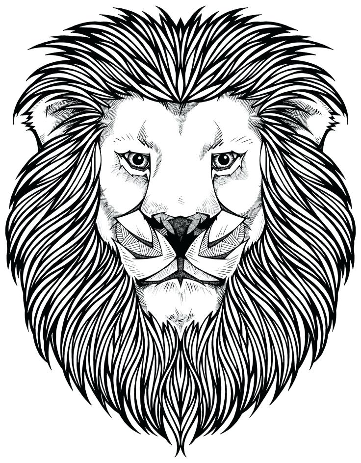 Coloring Page Lion Wallpaper Pages Of A Guard Kion - Lion Head Coloring Pages , HD Wallpaper & Backgrounds