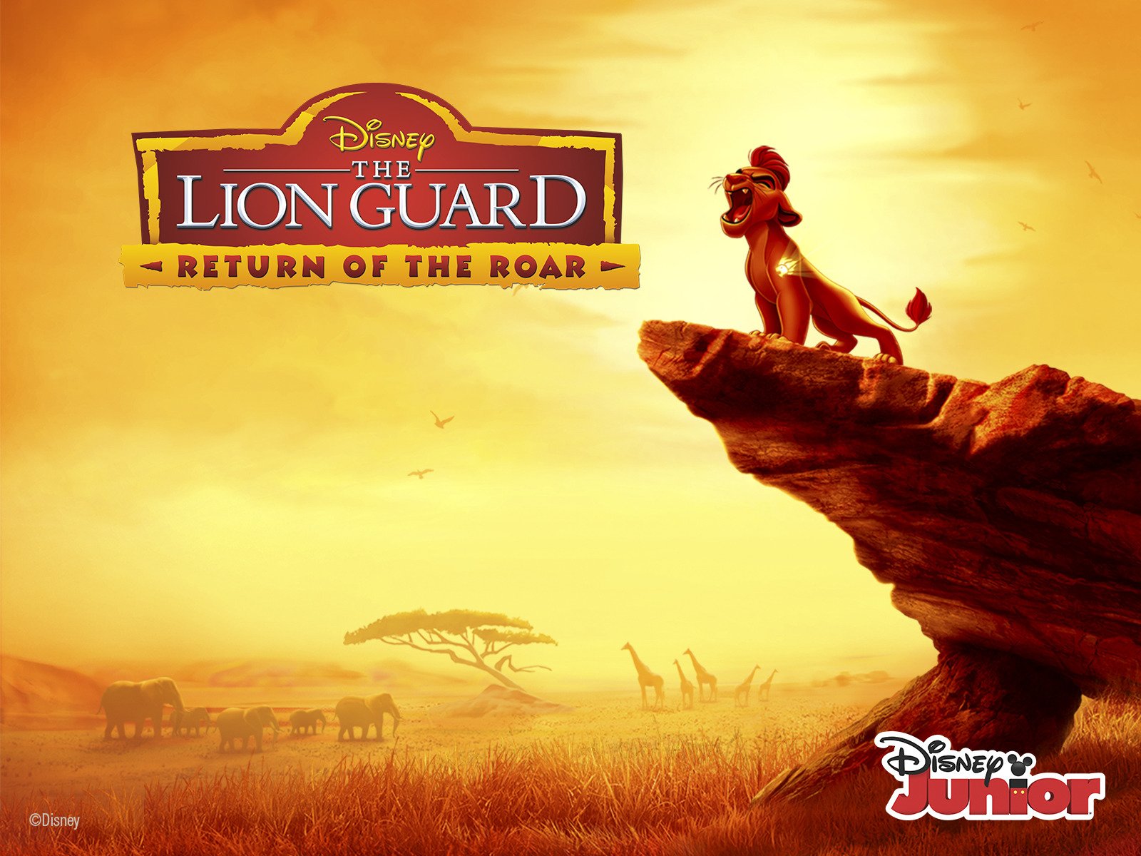 The Lion Guard - Lion Guard , HD Wallpaper & Backgrounds