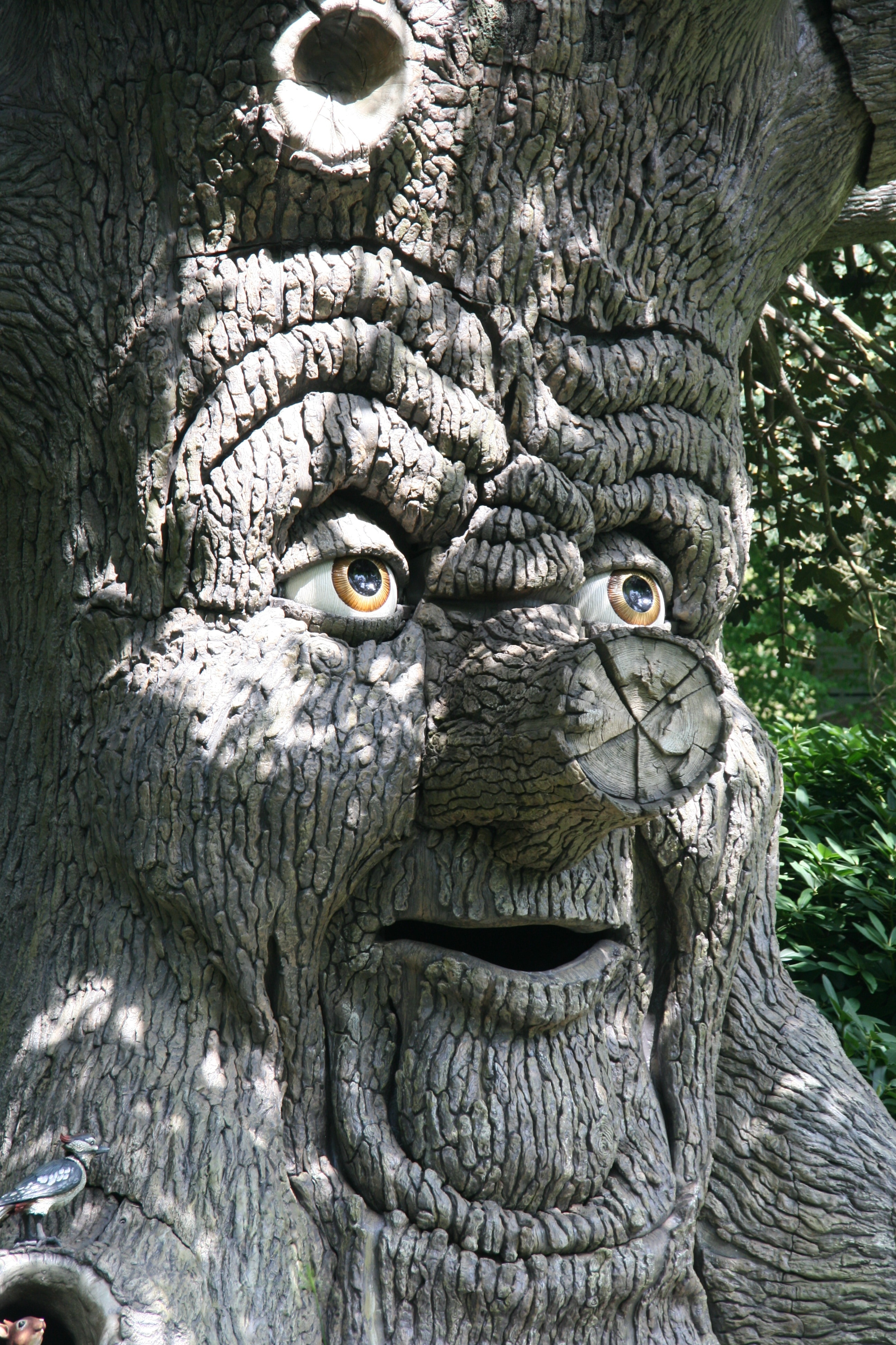 Download Original Image Online Crop - Tree With Face Cartoon , HD Wallpaper & Backgrounds